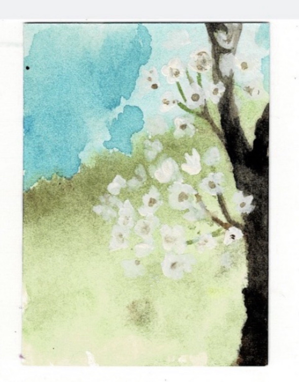 ACEO Original Painting – Floral Tree – Gouache – by Chaotic Sanity | Sameera