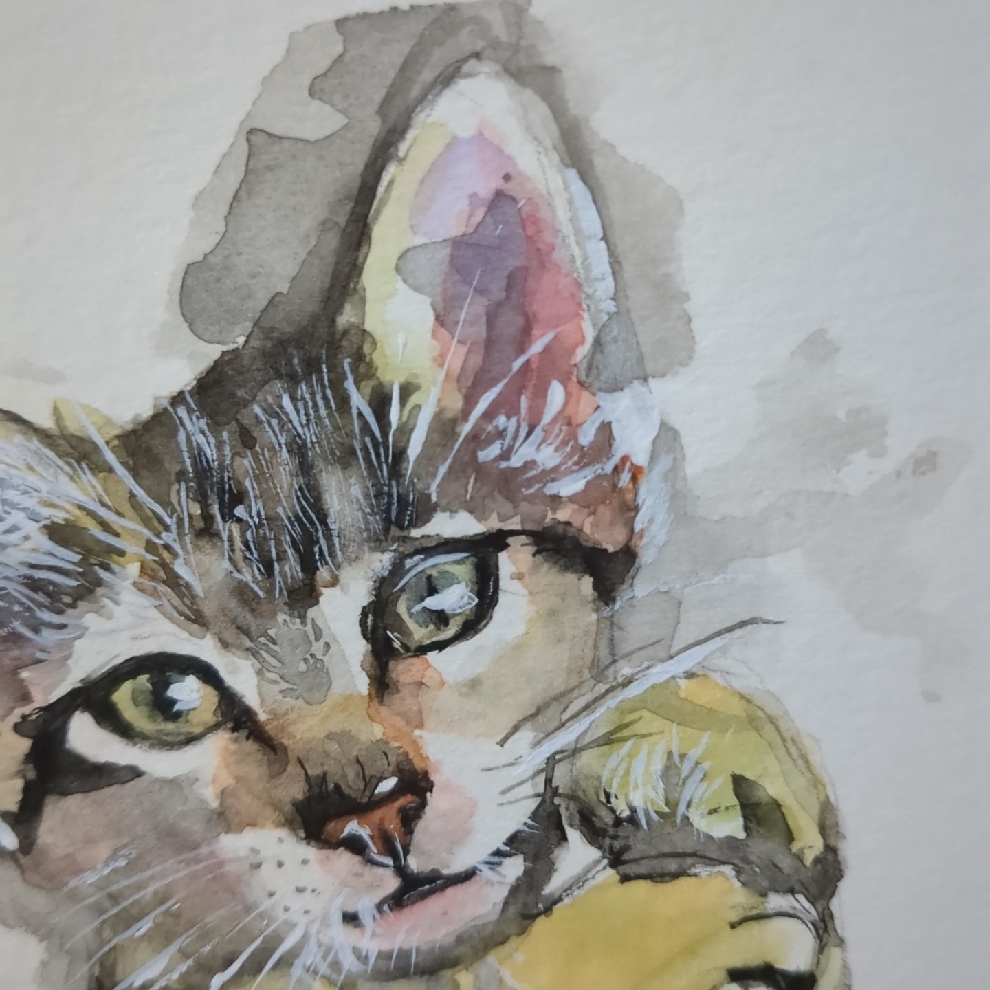 Original Watercolor Painting Cute Cat Portrait 4×5.5 by Jake J