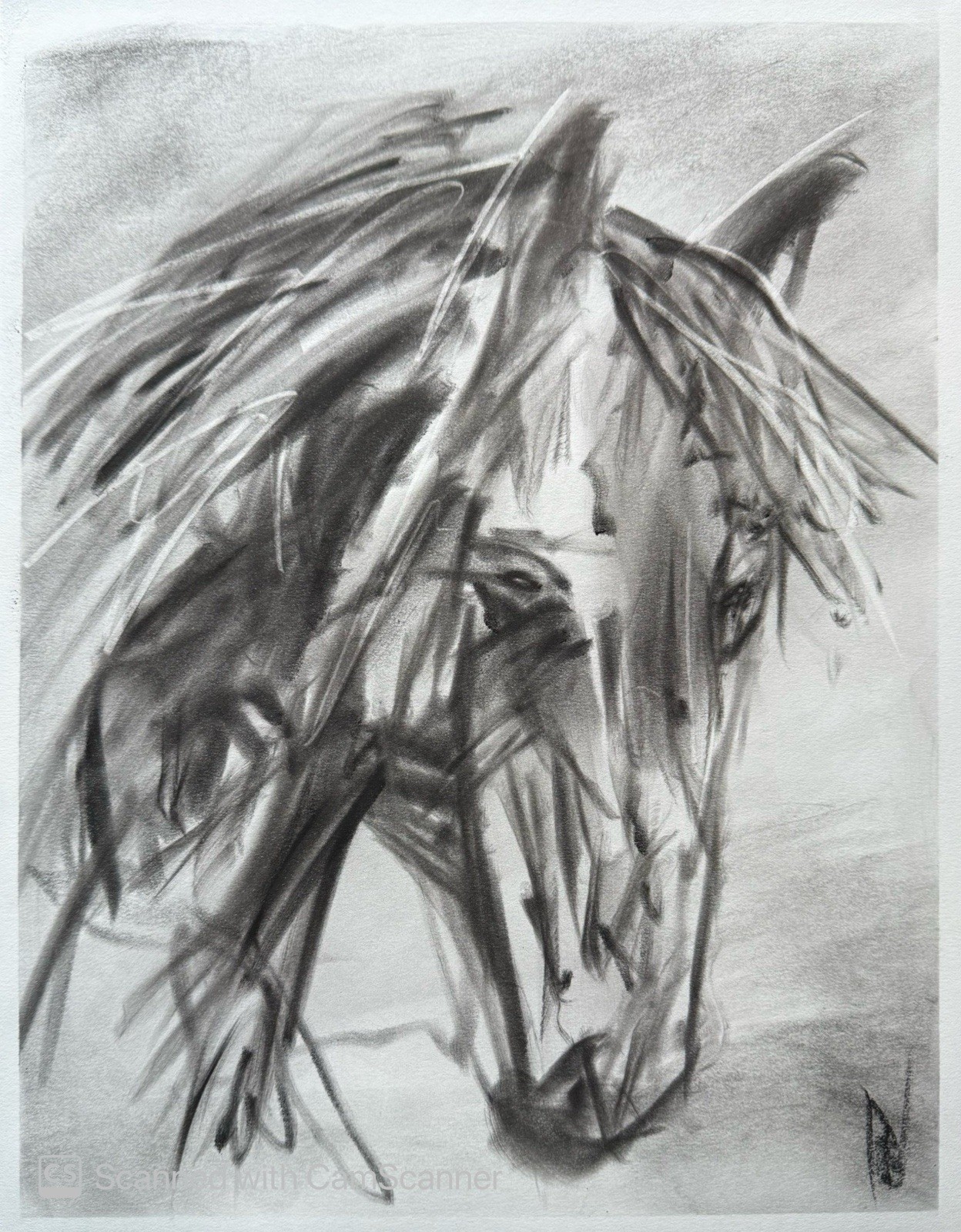 Horse Head Portrait 11×14 Pastel on Paper Expressionist Animal Art