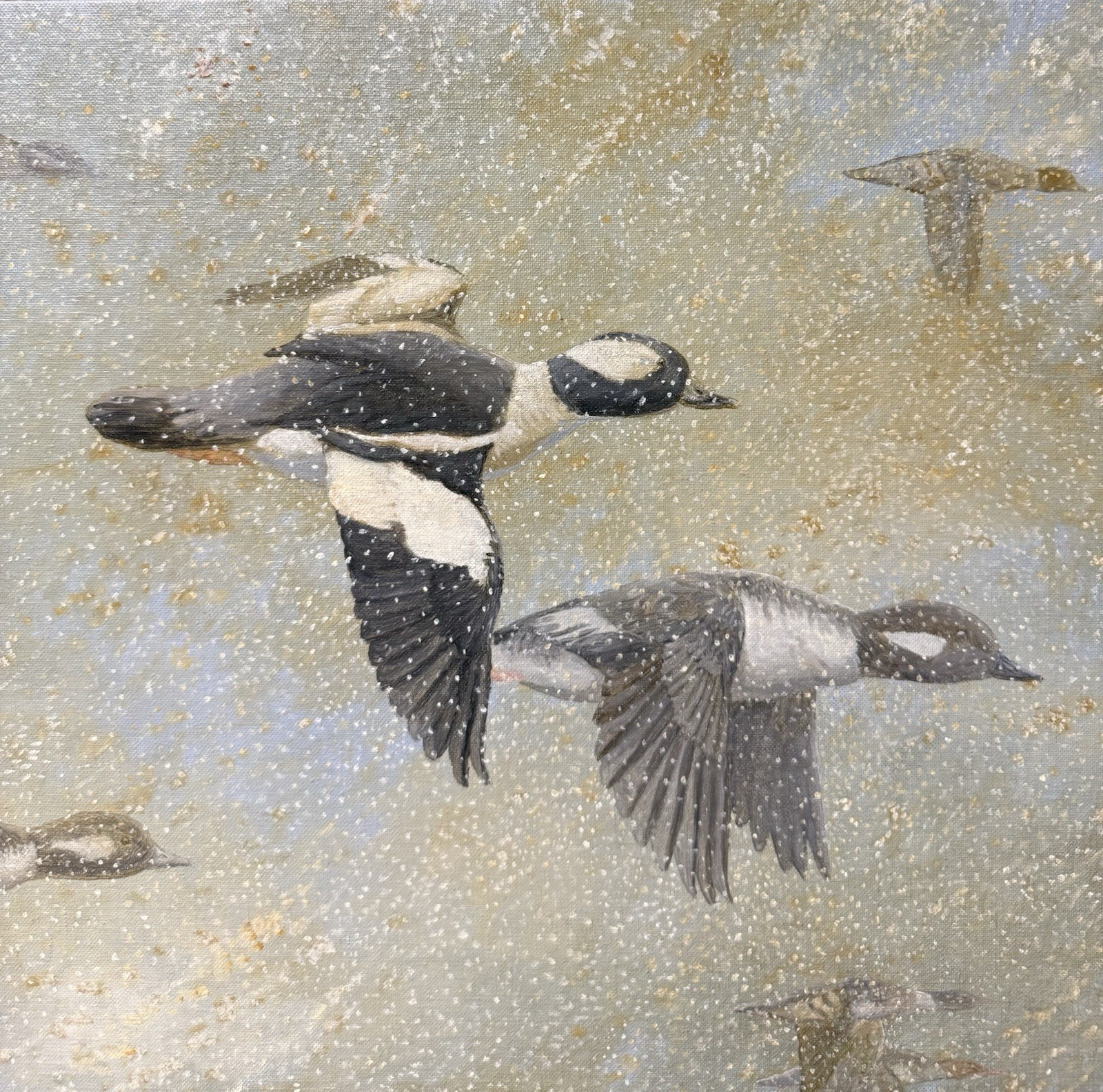 Barry Kent MacKay Original Bird Art Painting Bufflehead Ducks, Signed, Unframed