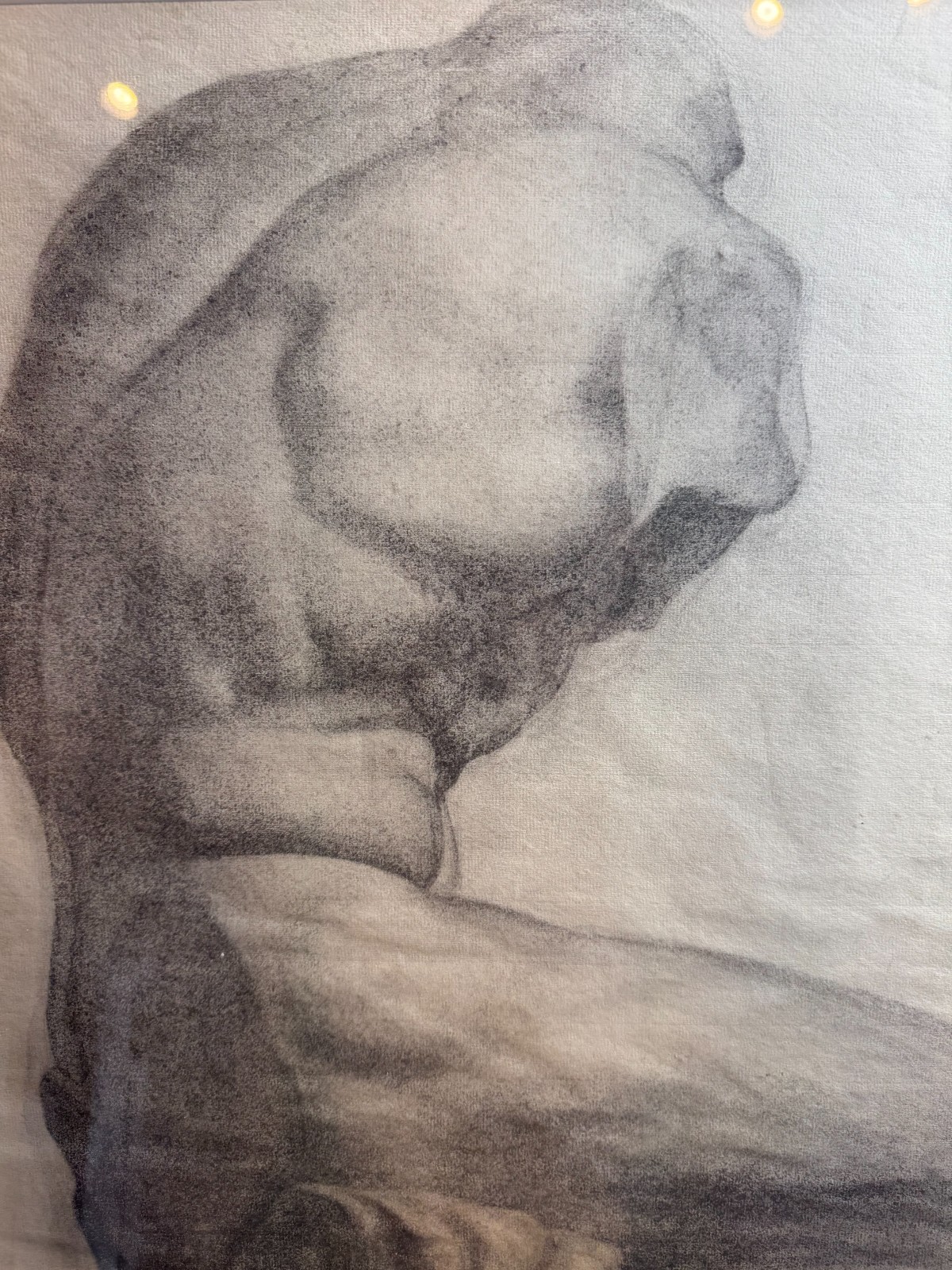 Baltimore School Original Charcoal Anatomical Torso Figure Study Framed Signed