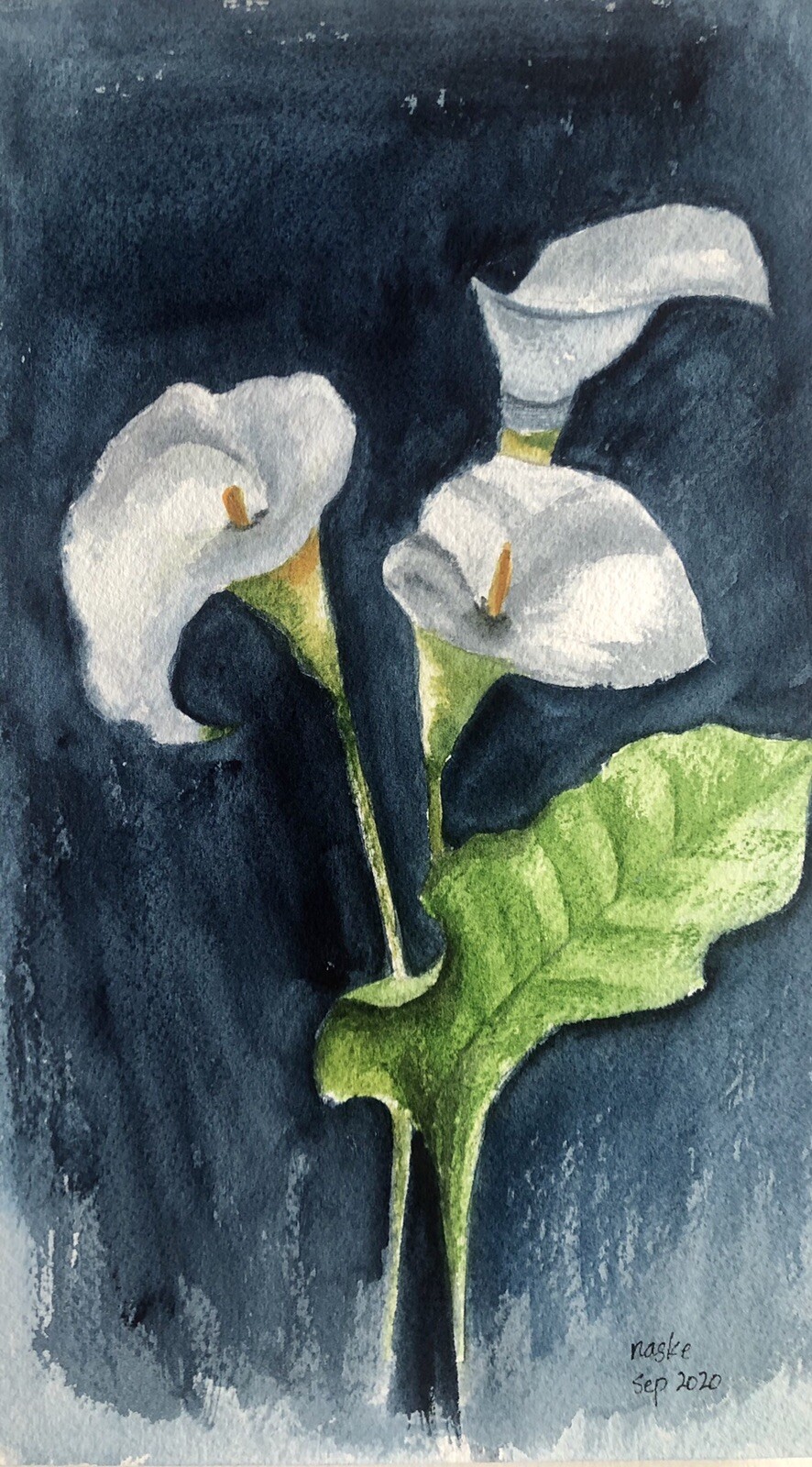 Watercolor Original Painting-Calla Lily-Flower