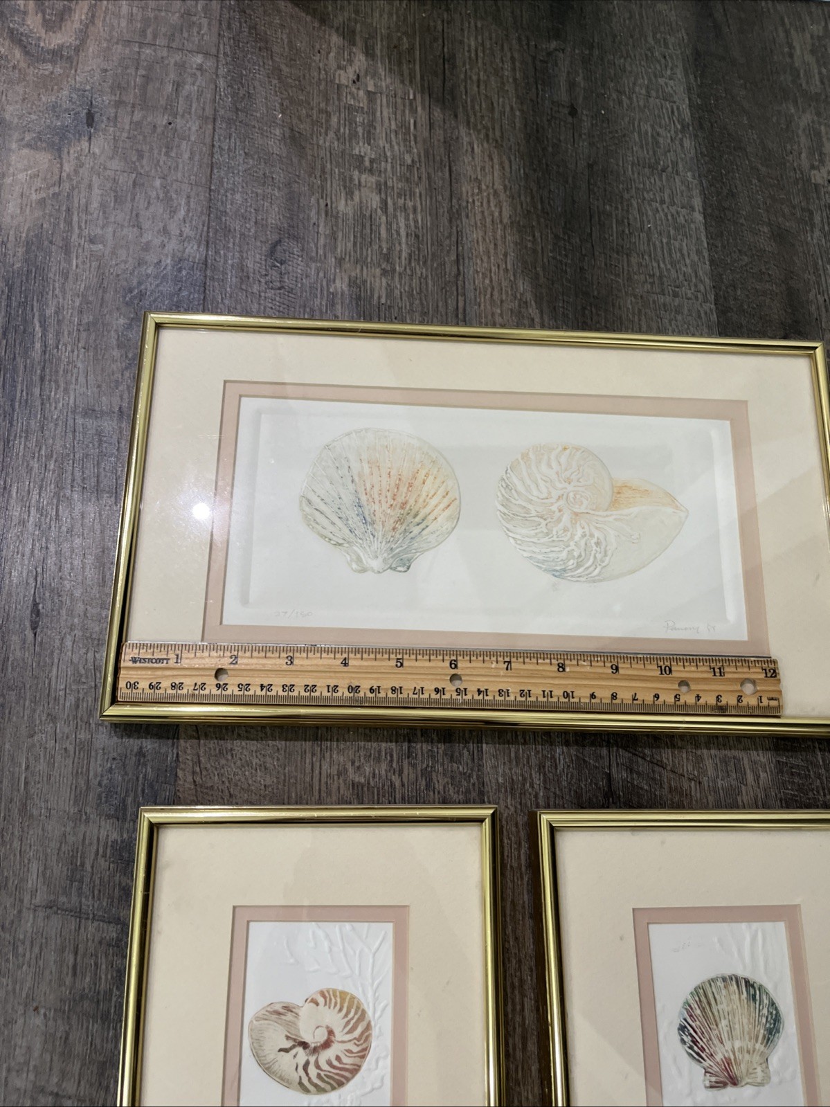 3 Vtg Matted Framed Signed And Dated Embossed Paper With Watercolor Seashells