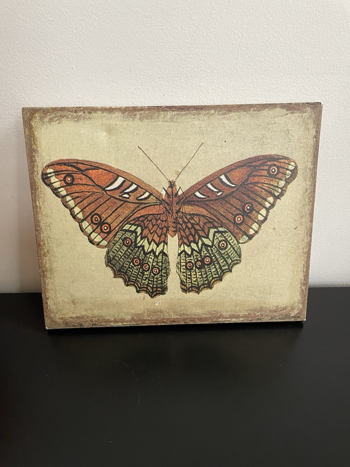 Tropical Butterfly Image Wall Art Acrylic On Canvas, Small 8”x10”