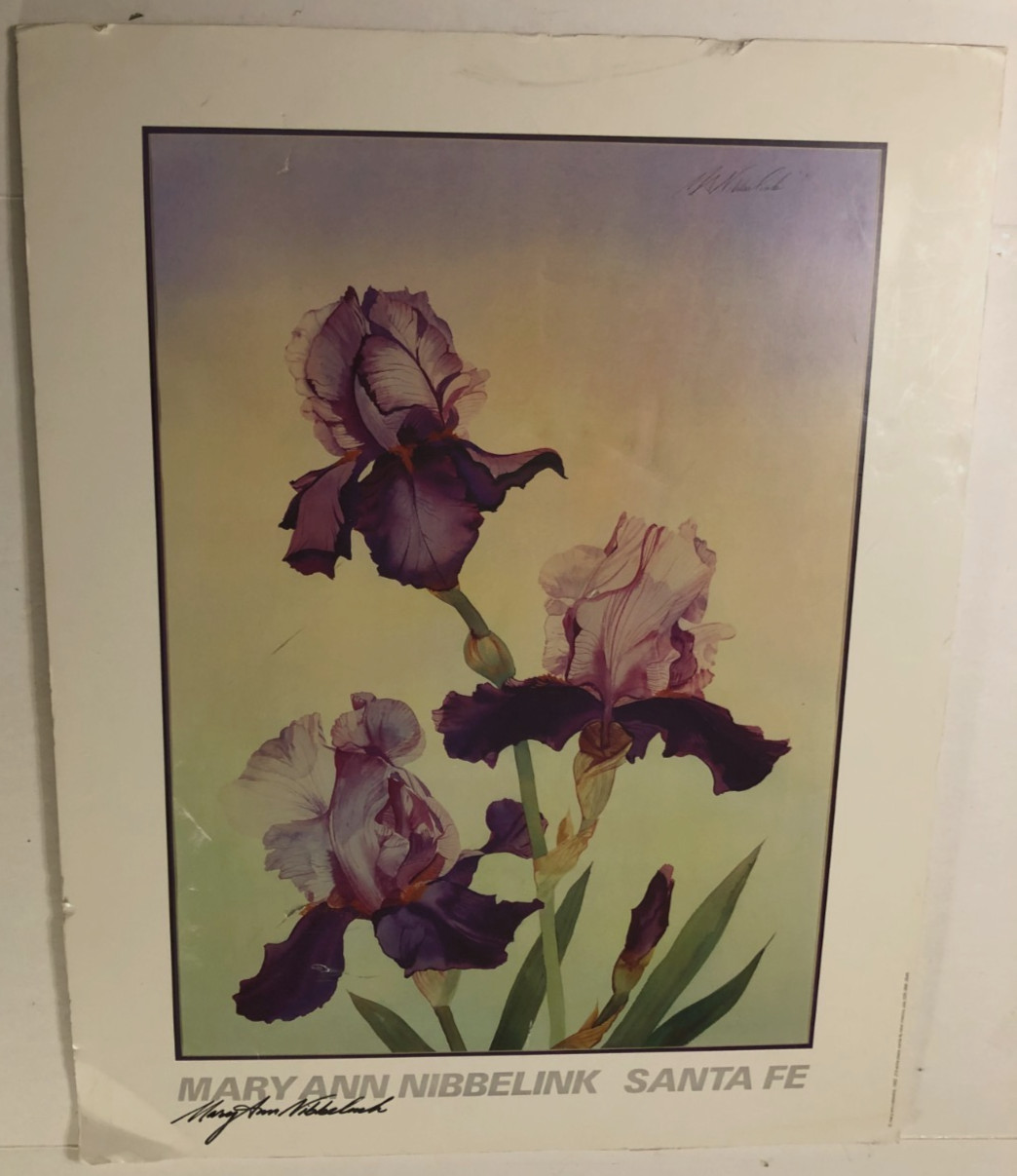 Signed Mary Ann Nibbelink Santa Fe Three Irises Print Poster Vintage 1990