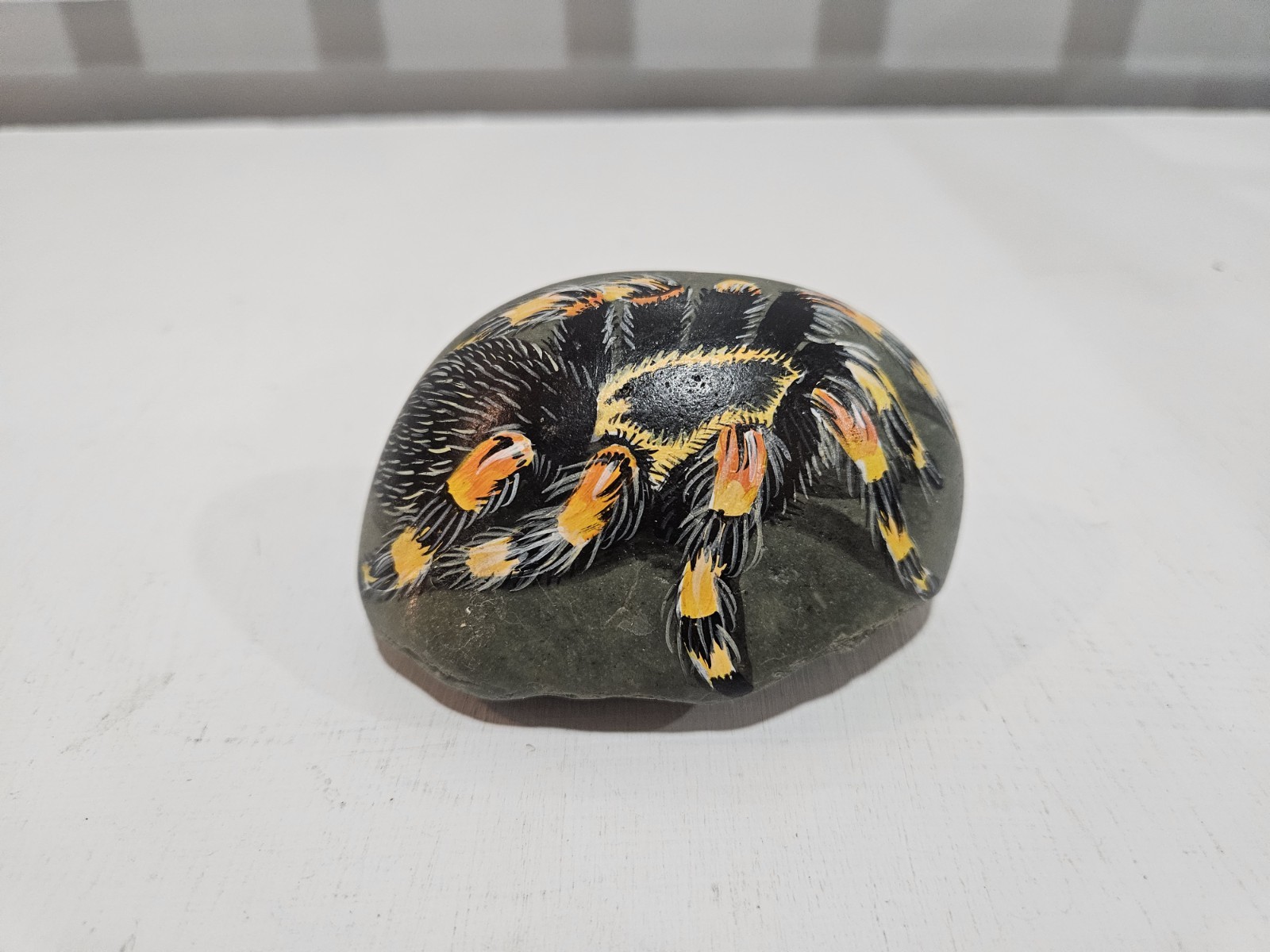 Handpainted And Signed Dimensional Mexican Redknee Tarantula On Rock