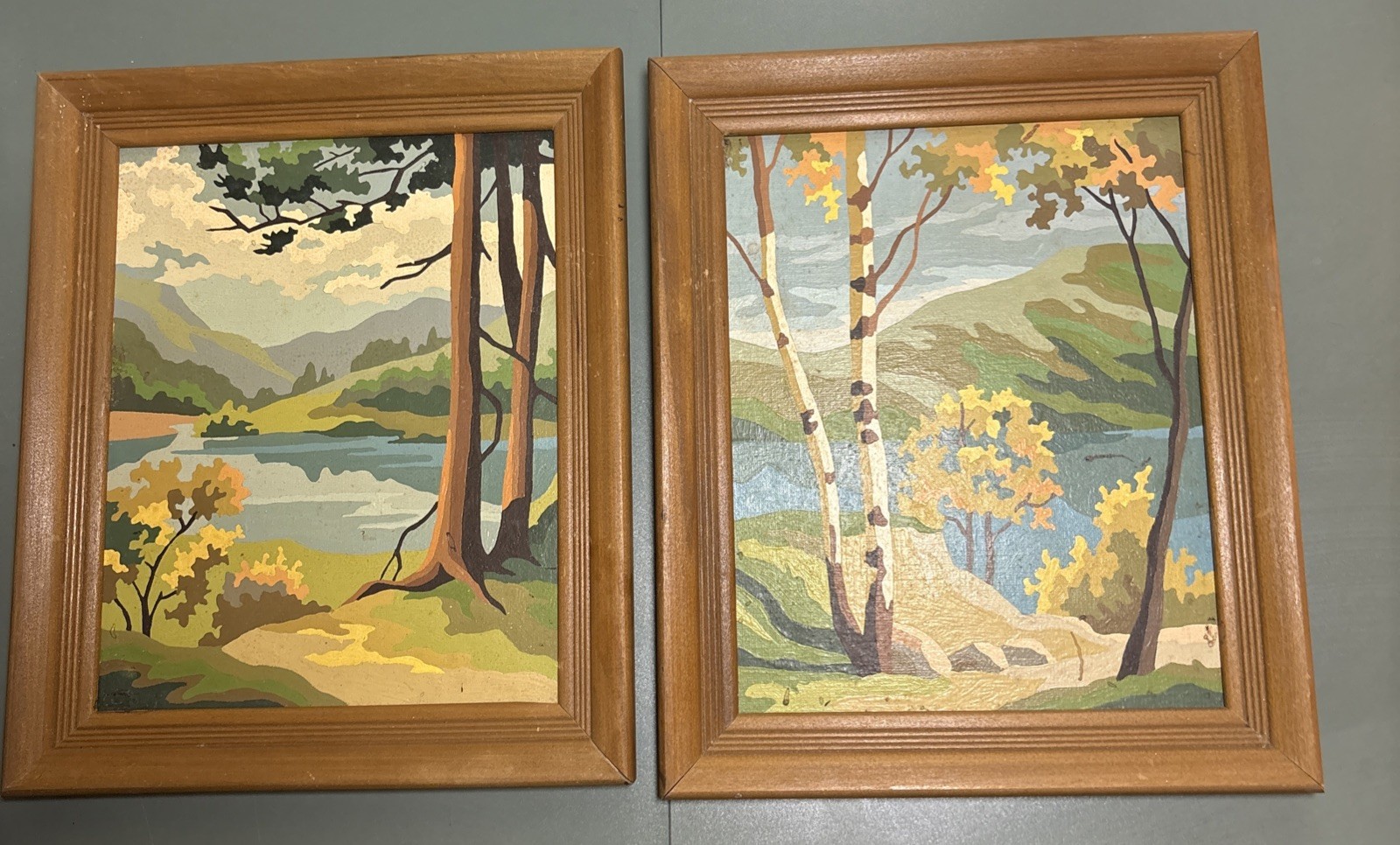 Vintage MCM PAINT BY NUMBER LANDSCAPE STREAMS BIRCH TREE FRAMED ART 1960’s SET