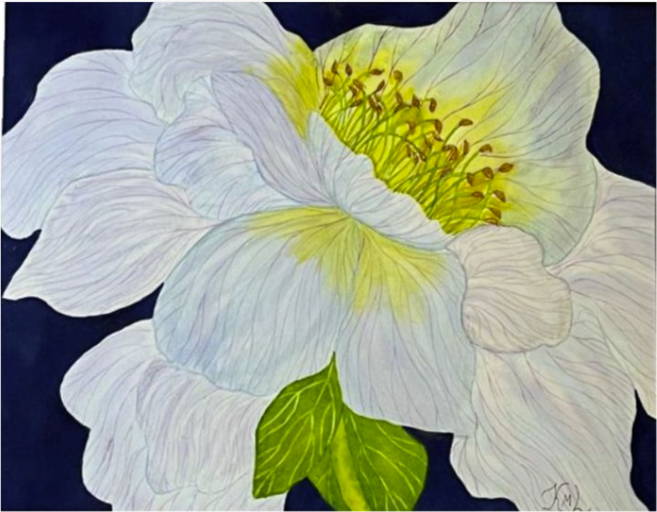 PAINTING WATERCOLOR 11X14 AND WHITE MAT 16X20 FLOWER PEONY BLUE PURPLE YELLOW