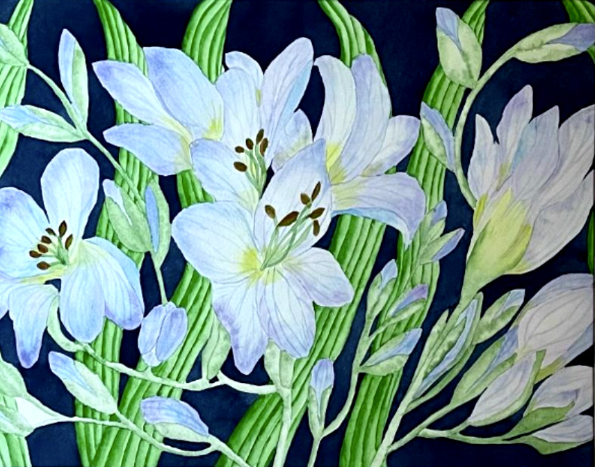 PAINTING WATERCOLOR FREESIA FLOWER BLUE PURPLE 11X14 AND DOUBLE WHITE MAT 16X20