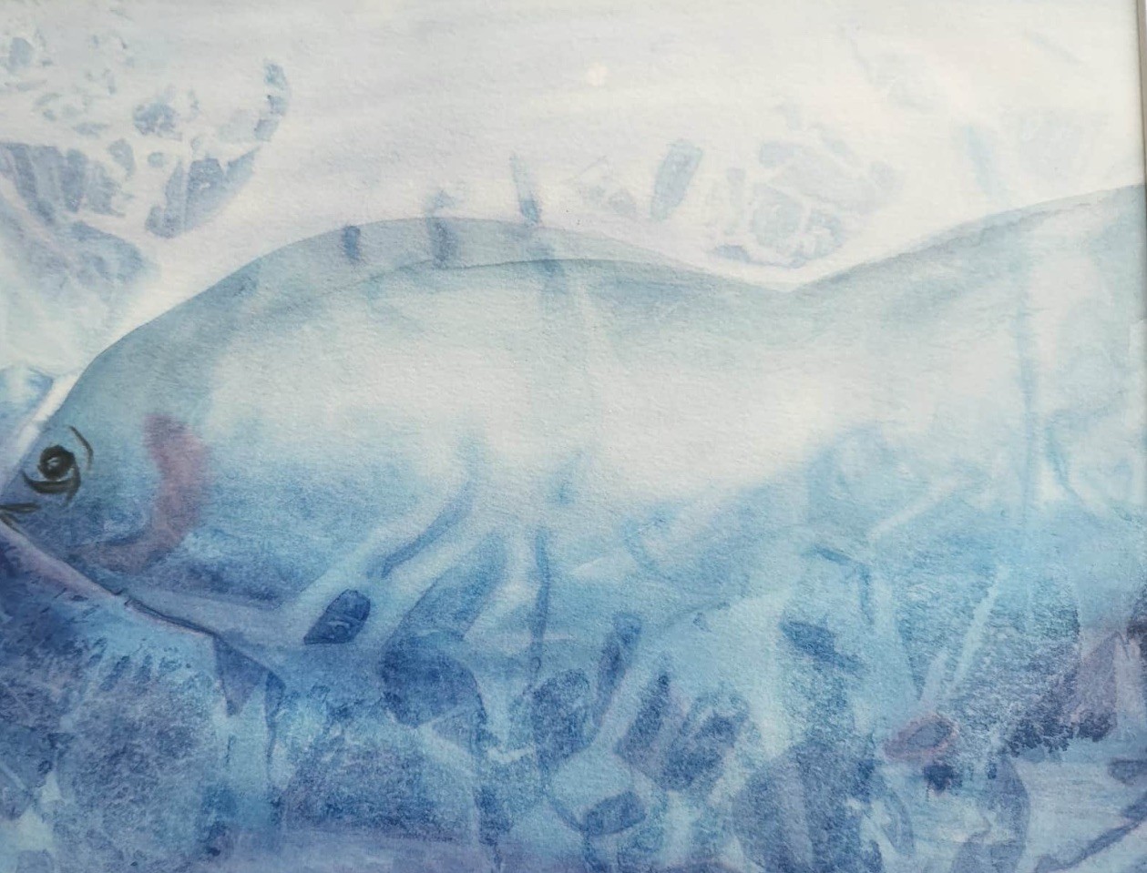Fish Original Art 14X11 Paper Blue Fish Under Water