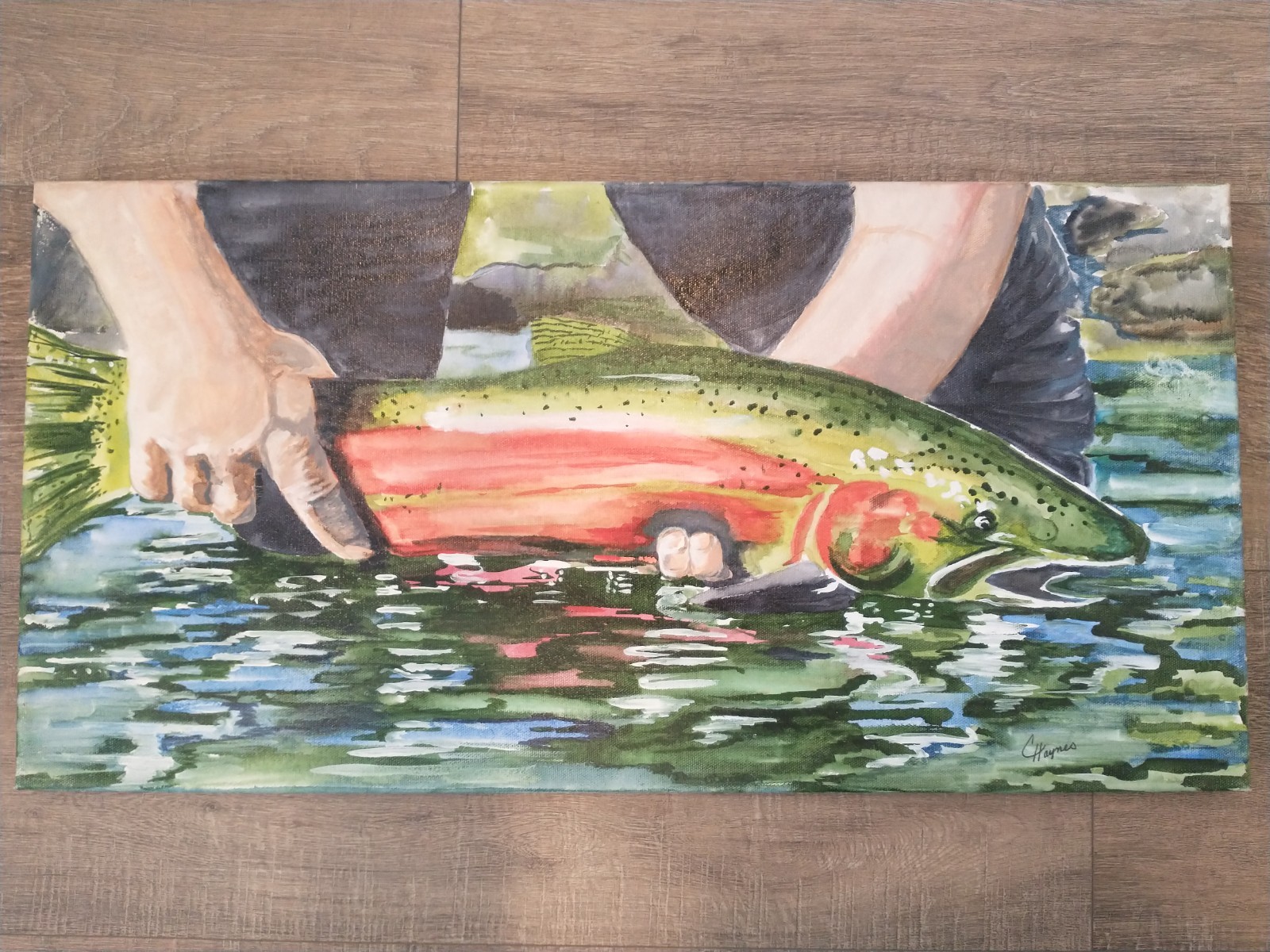 Original Acrylic Painting of Rainbow Trout 24″X12″ Fisherman River C Haynes