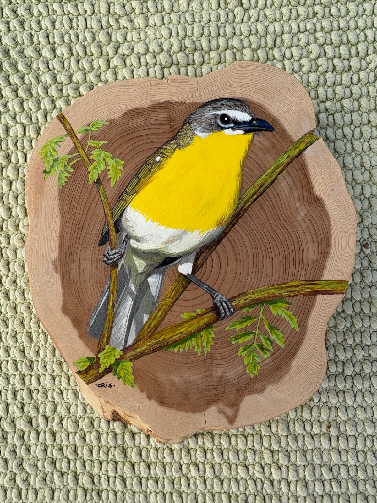 original acrylic and ink painting on cedar by Cris Arbo: yellow breasted chat