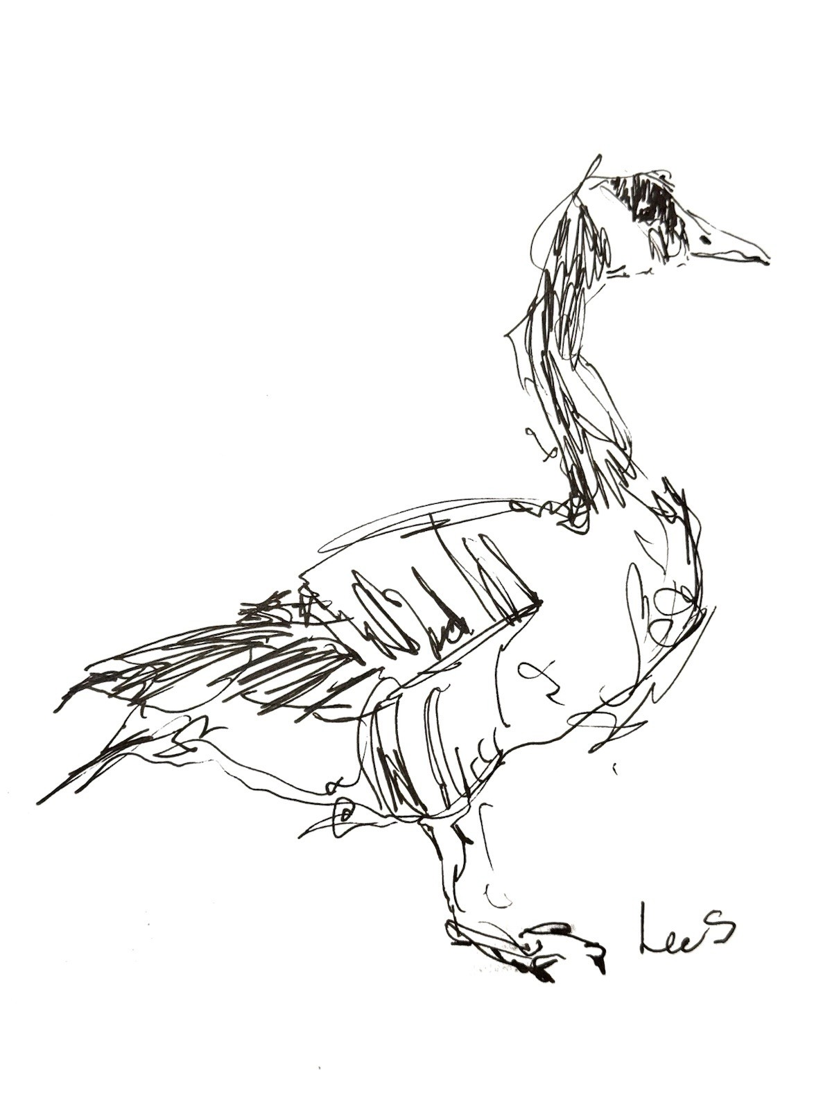Original Abstract Expressionism 9X12 Goose Paper Ink Gestural Handmade Signed 14