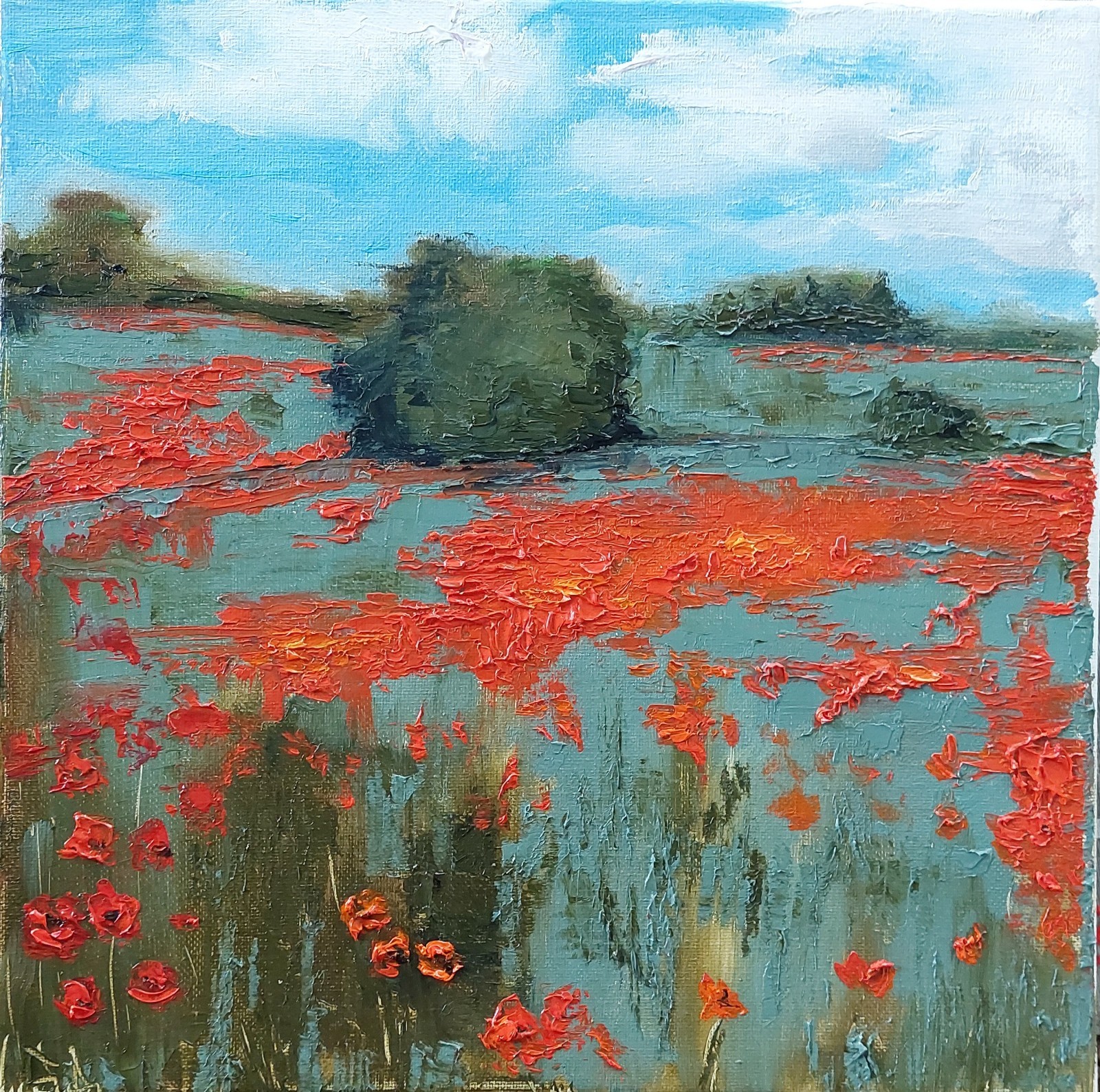 Oil original painting on canvas size 12×12 inches Poppy field