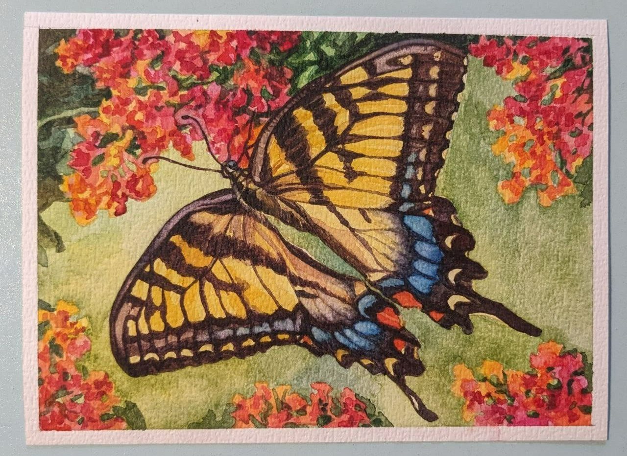 Butterfly Painting Original Watercolor Small Art 5x7in Insect wildlife decor