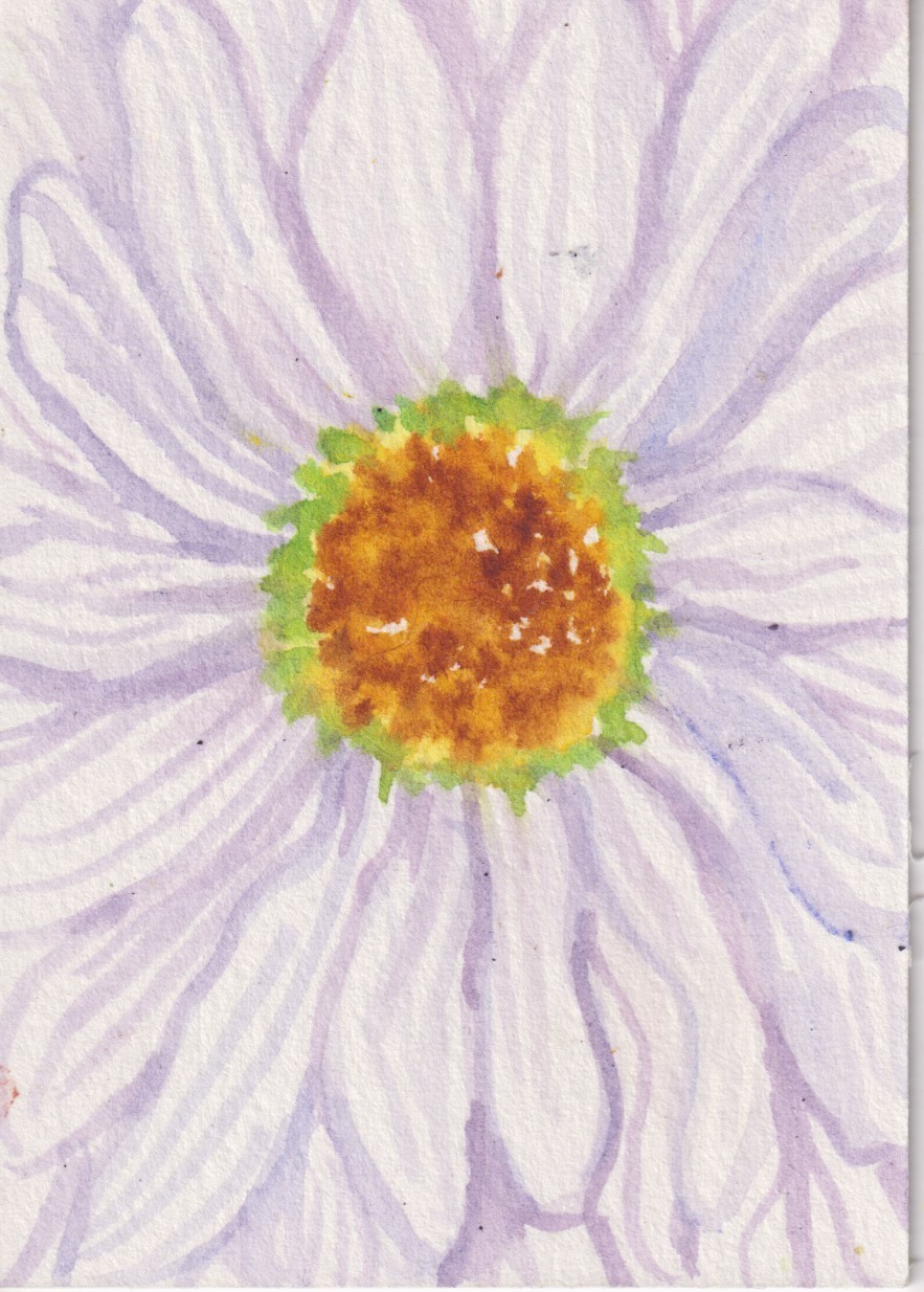 Daisy Flower ACEO Original White Daisy Watercolor Painting, Sharon Foster