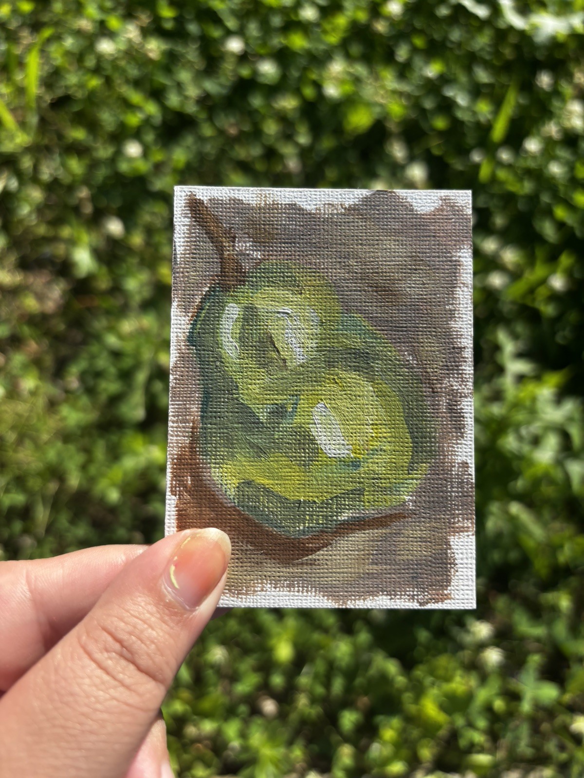 ACEO original small miniature still life Green Pear painting Fruit art unframed