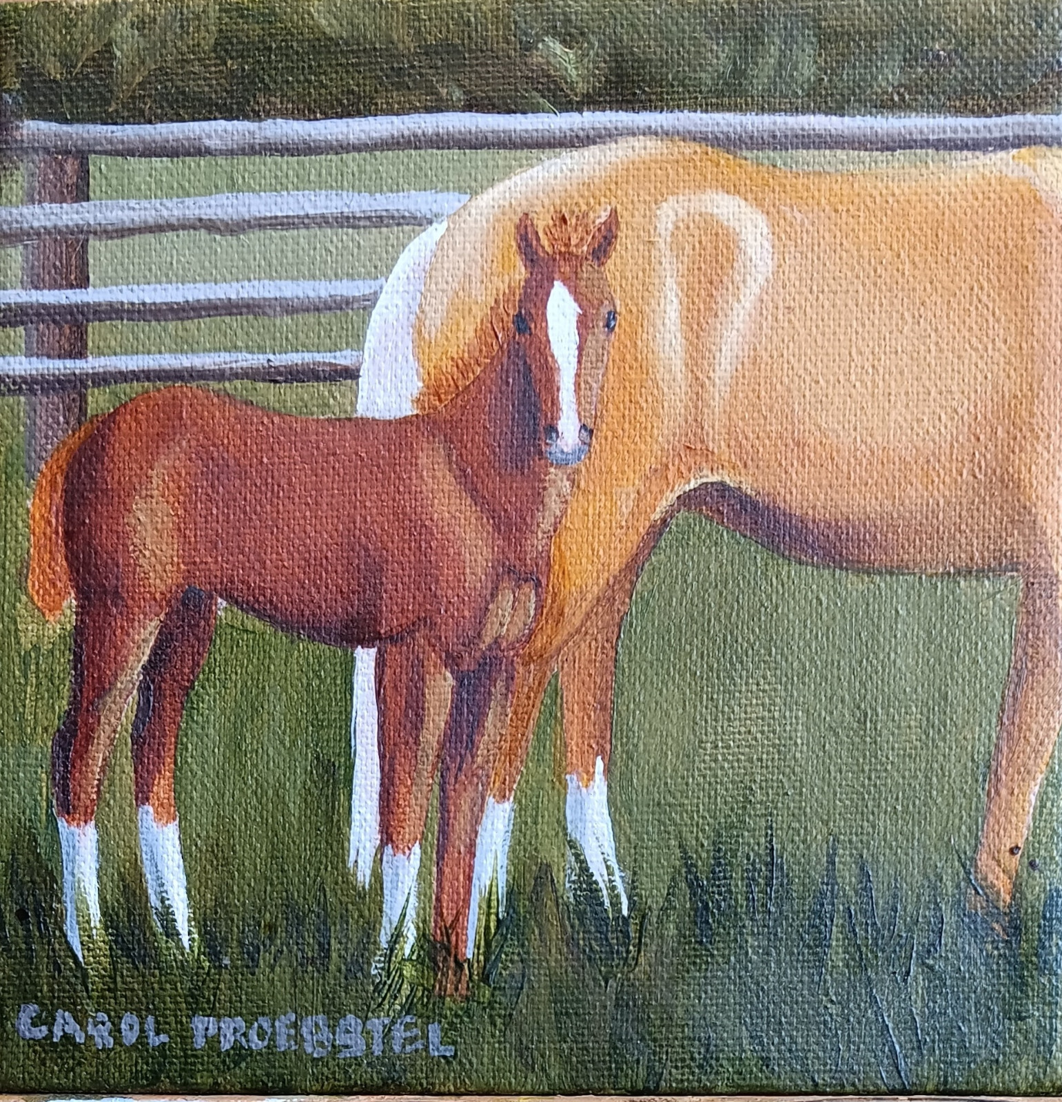 Original oil painting western horse colt foal sorrel Carol Proebstel