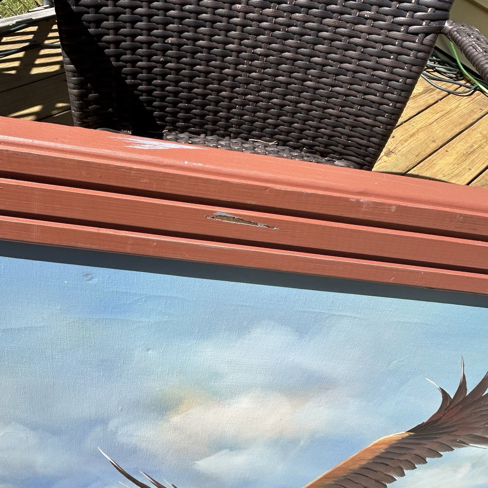 Soaring Bald Eagle in Flight Oil Painting On Canvas Nature Realism Framed