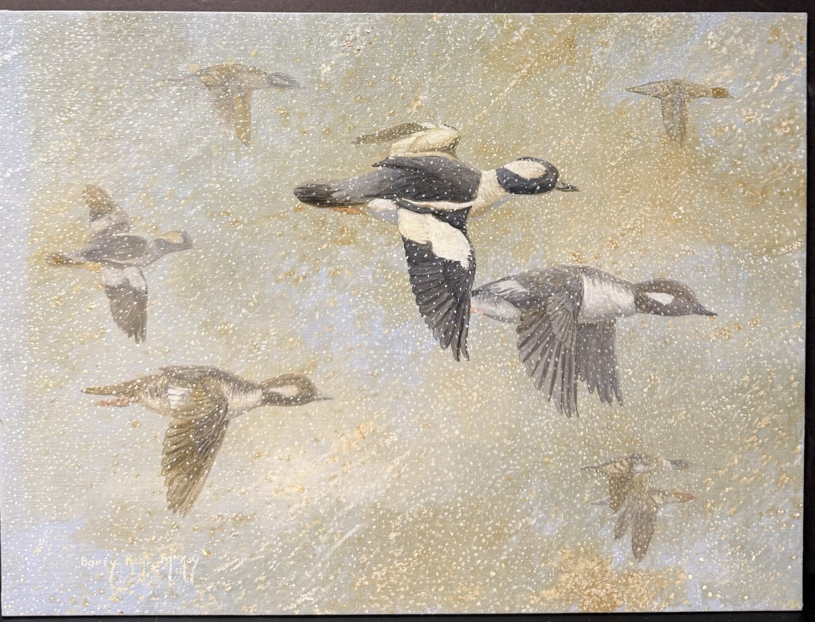 Barry Kent MacKay Original Bird Art Painting Bufflehead Ducks, Signed, Unframed