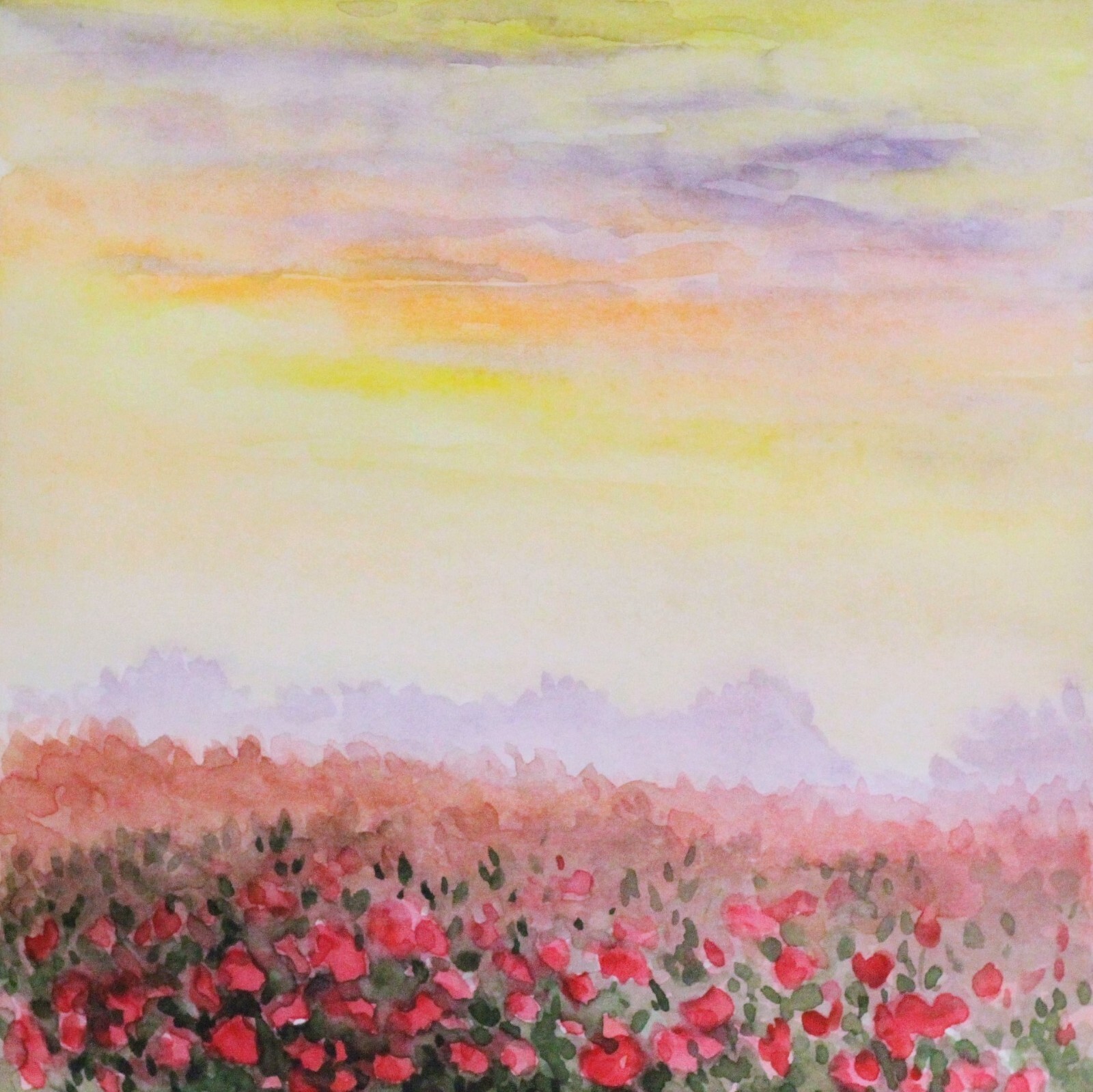 Rhododendron Original Watercolor Painting 7×7 Misty Morning Landscape Yellow Sky