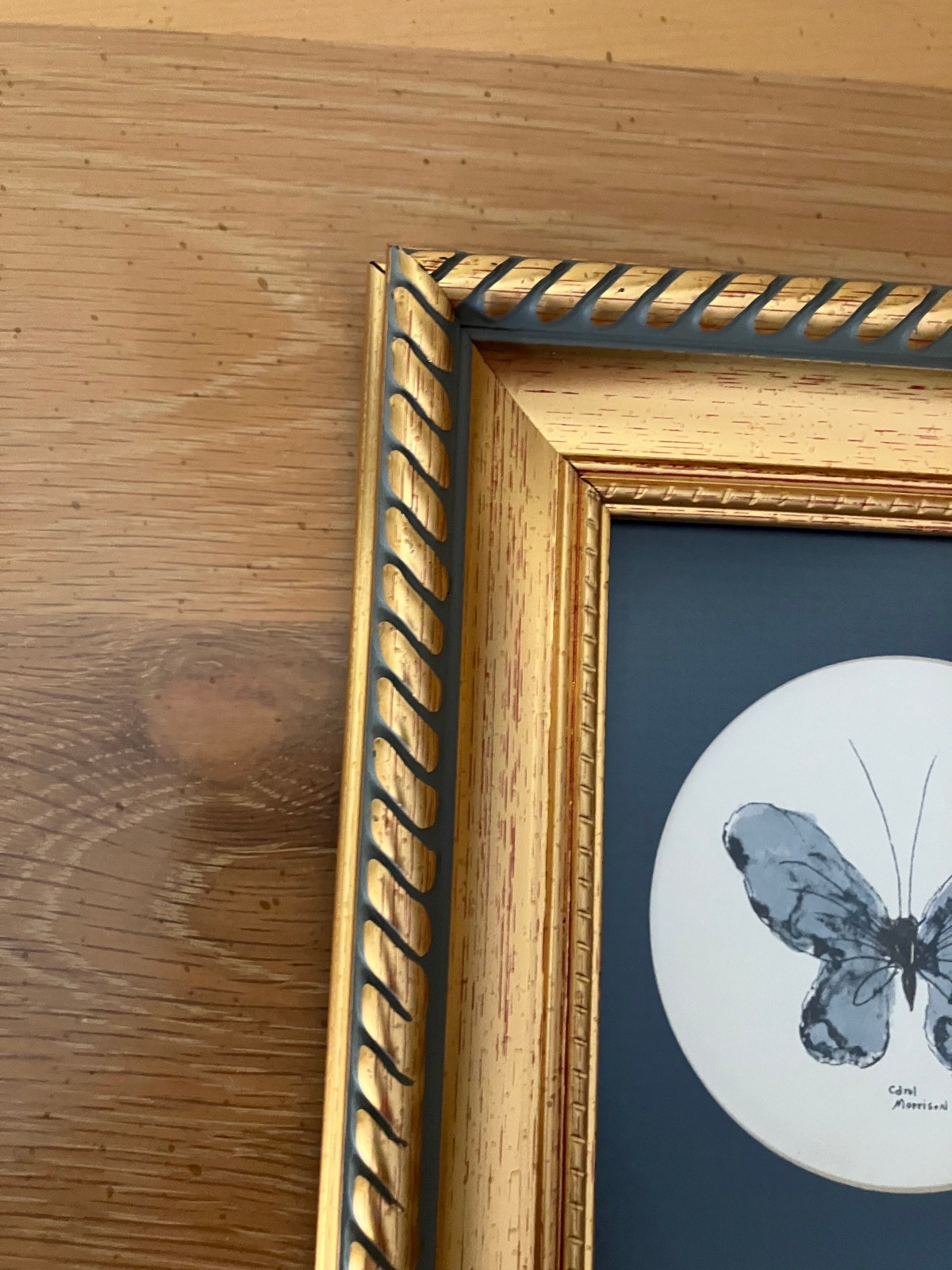 Vtg Orig Watercolor Painting in Updated 4×5 Frame; Butterfly, Carol Morrison