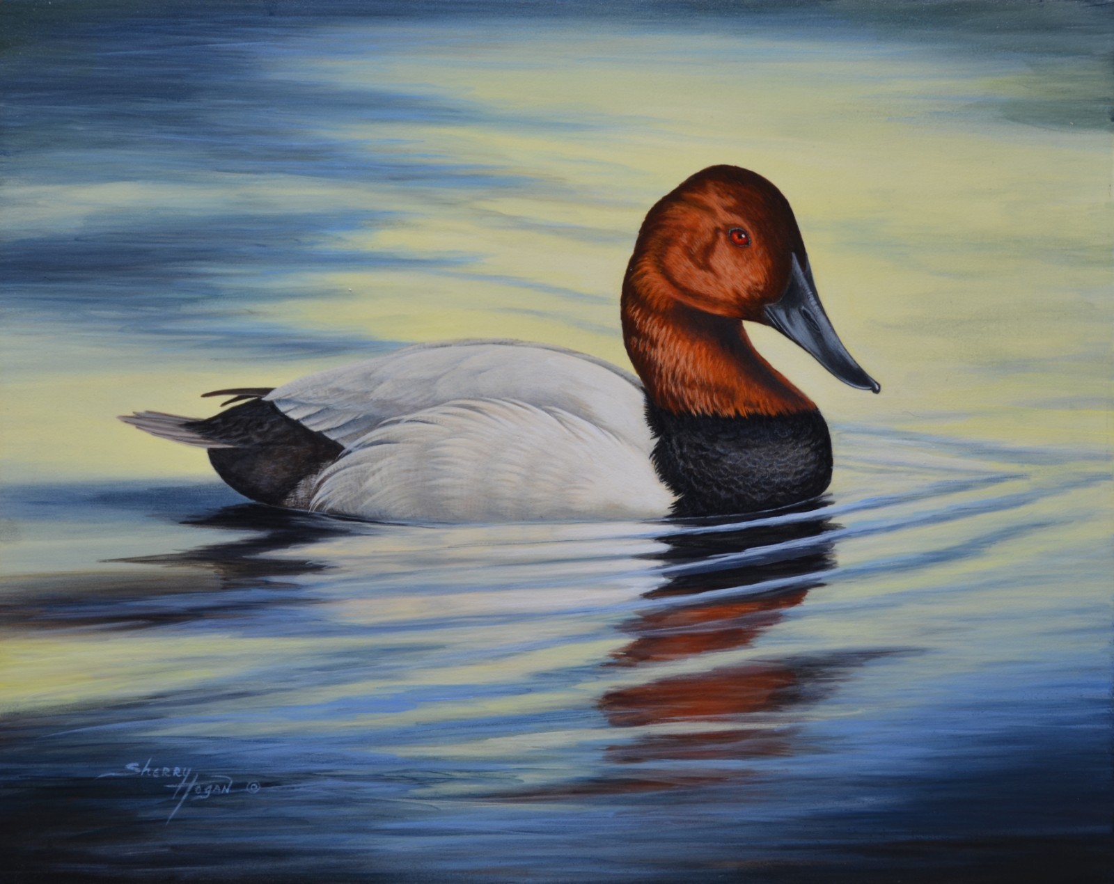 original, acrylic, Wildlife, Canvasback, Canvasback Drake, Ducks, Water Fowl