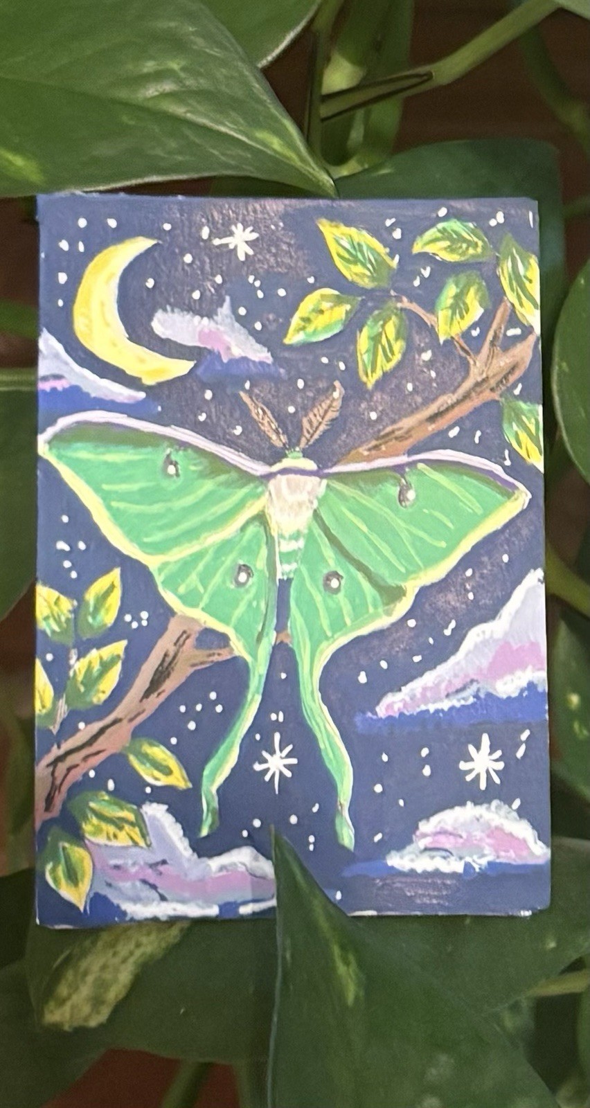 ACEO Original Acrylic Paint Nature Semi Realistic Luna Moth Art Card