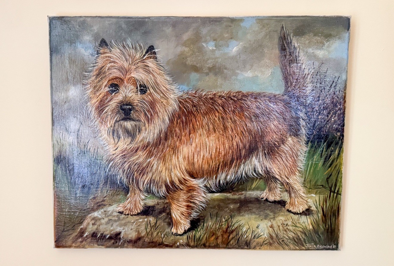 Vintage Dog Portrait Oil Painting Cairn Terrier 16” X 20” Julie Brenan (1981)