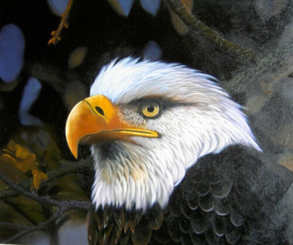 hand Art American bald eagle the national bird of the United States canvas