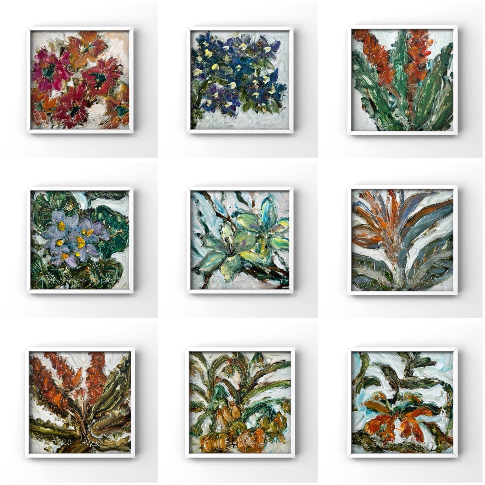 African Botanical Collection Native Flowers Plants – Set of 9 Original Paintings
