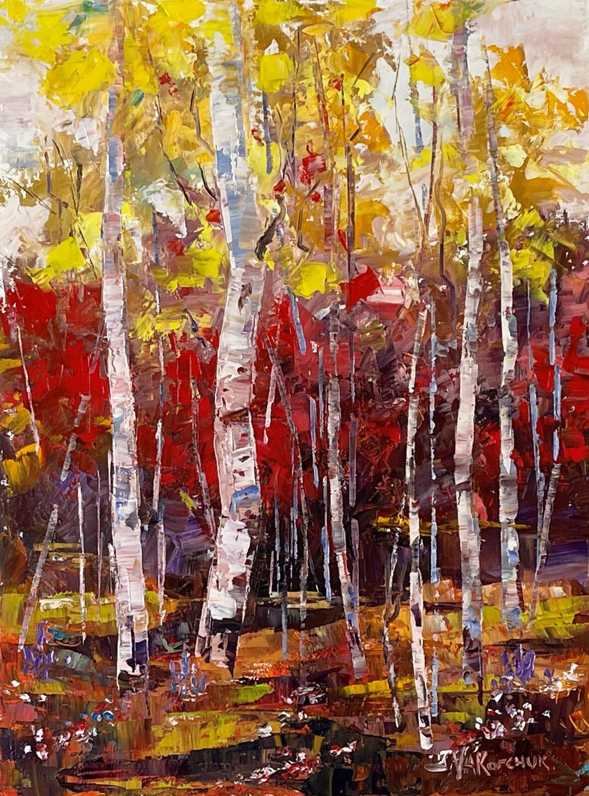 Colorado Fall Mountain Forest