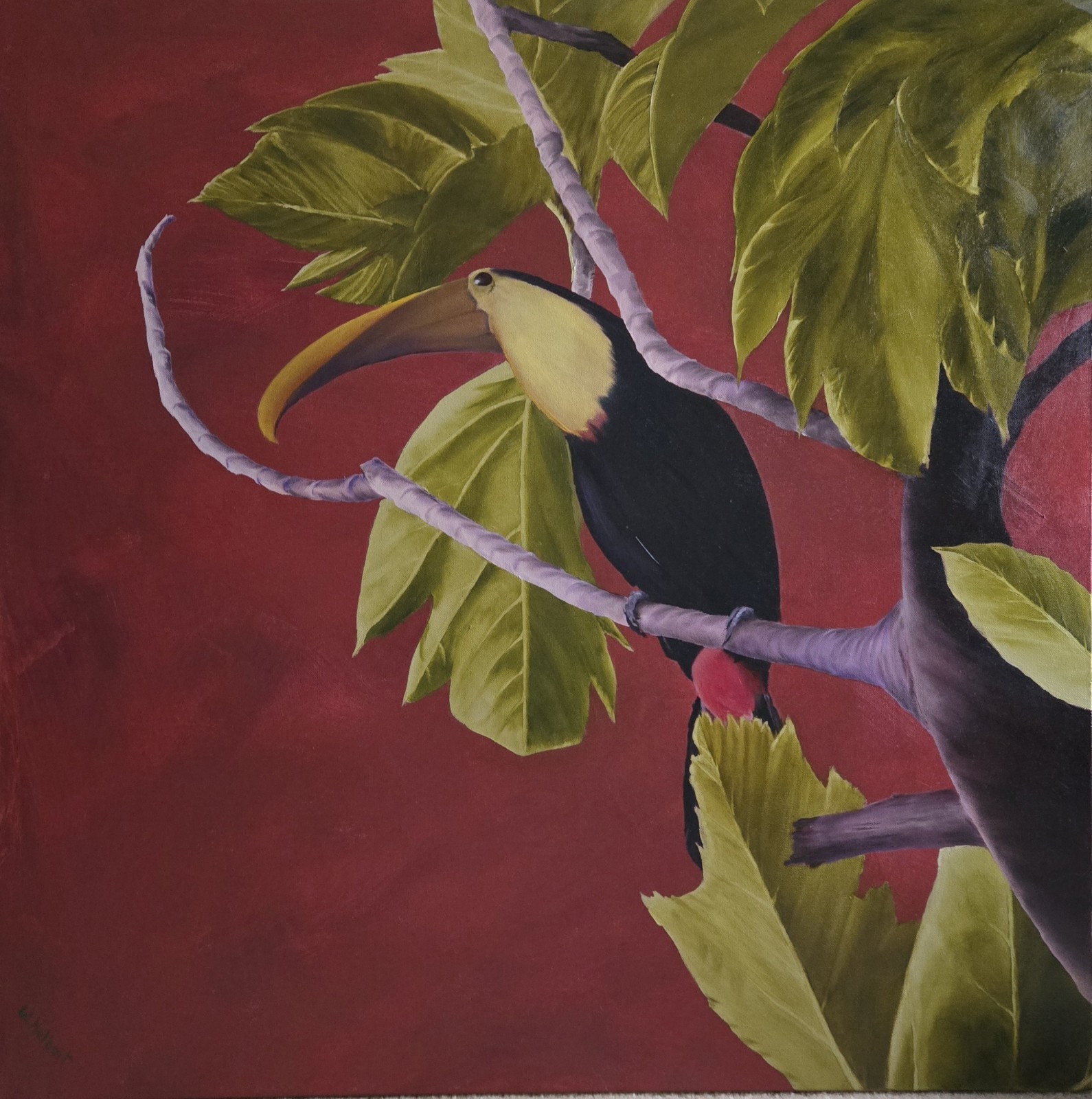 toucan painting on canvas, large, original, 36×36, bird painting, red, tropical