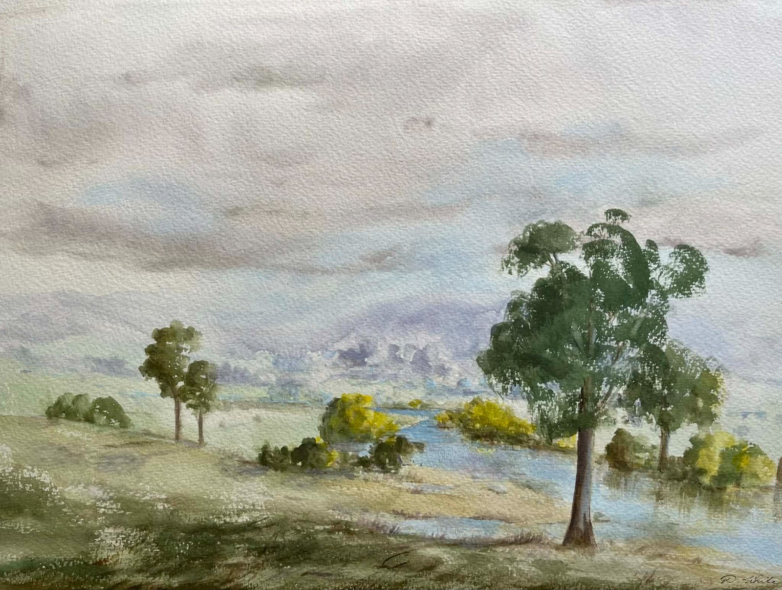 DOUGLAS WHITE AUSTRALIAN LARGE WC «GOULBURN RIVER THORNTON VIC» 1974