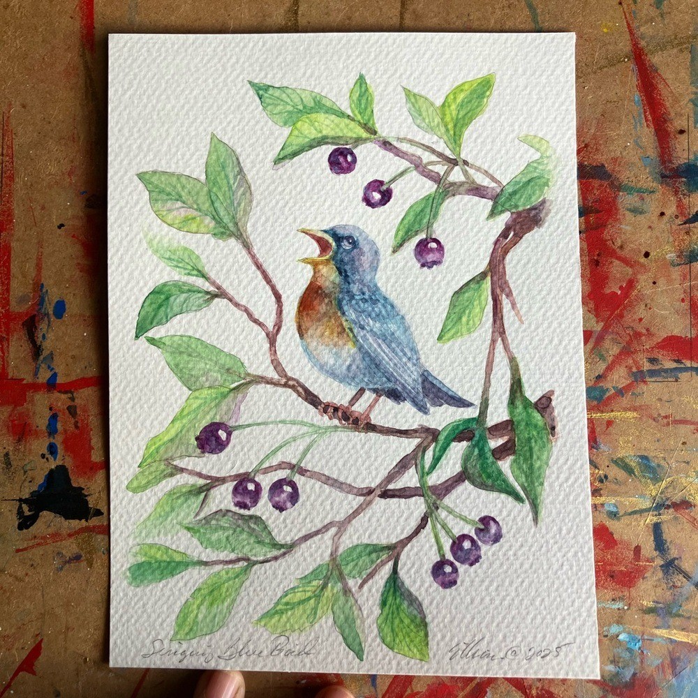 Original Bluebird painting bird art nature Cottage Core Farm decor artwork USA