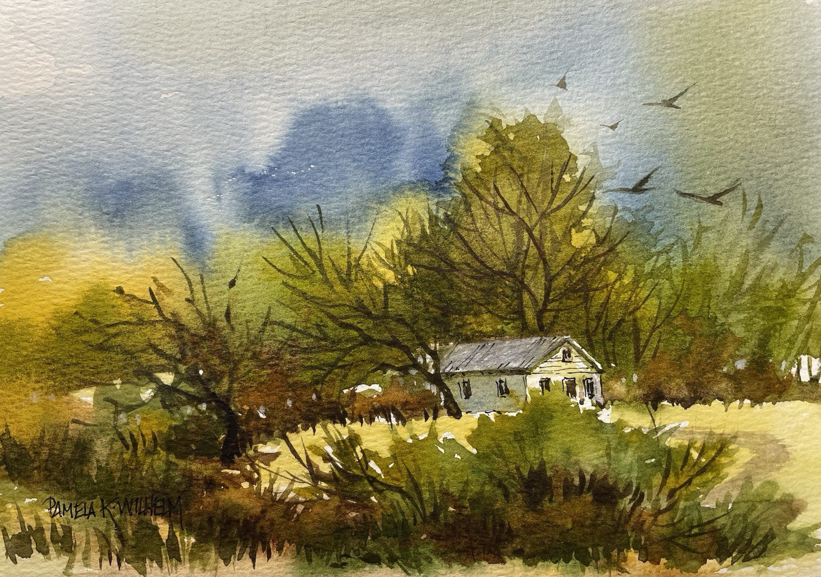 Pamela Wilhelm original 6”x8” Loose Watercolor big trees, White House landscape