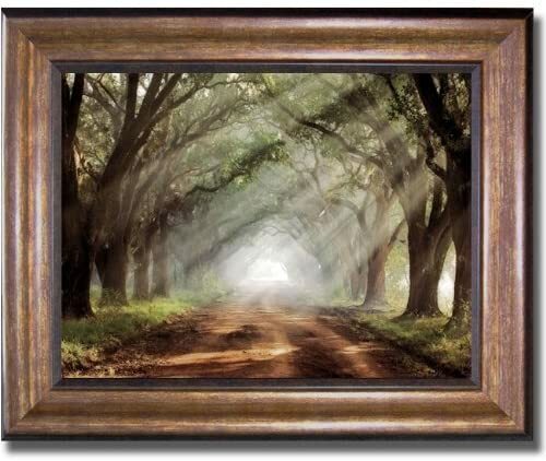 Bronze Framed Evergreen Plantation by Jones Canvas Art, 15 in x 18 in Frame Size