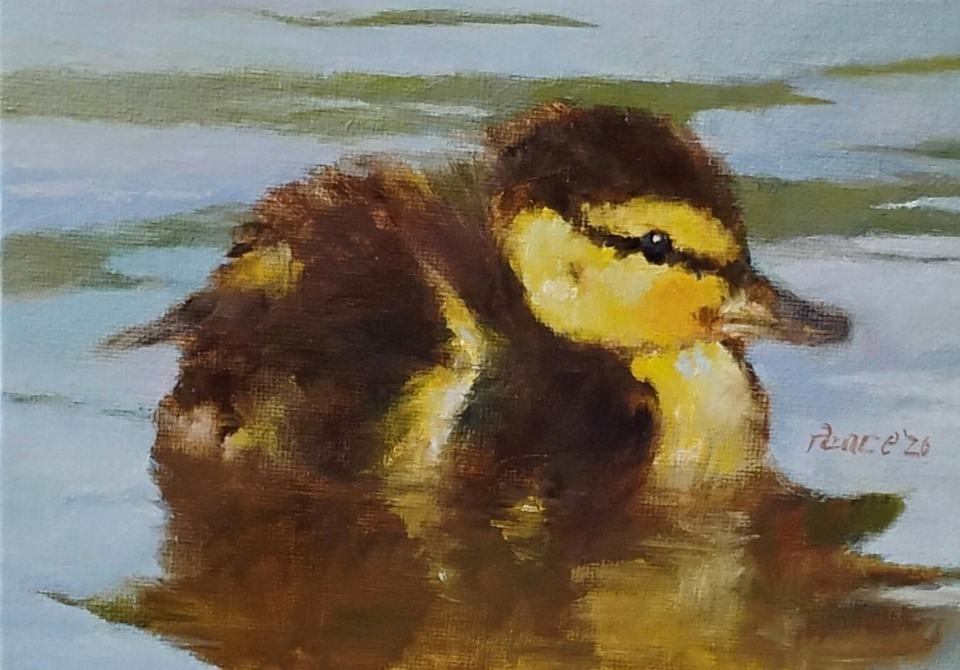 ducks animals original art nature paintings