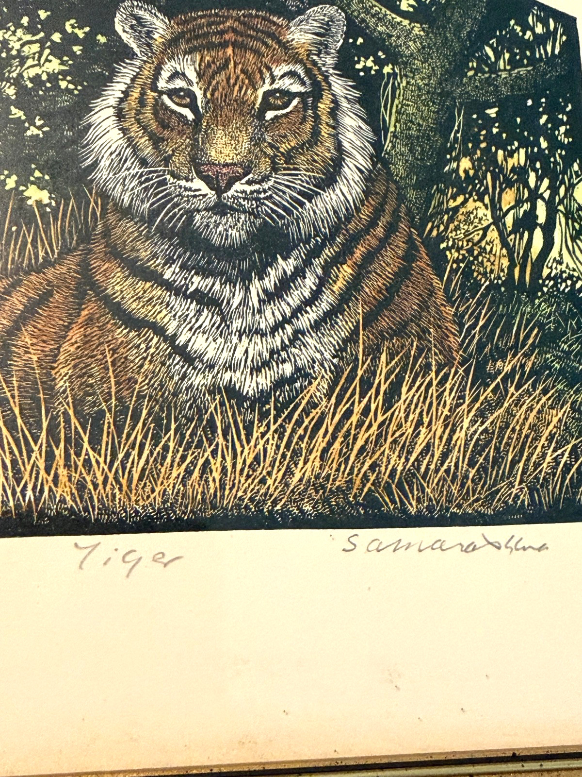 Rama Samaraweera Signed Tiger Print Limited Edition 37/300 In Frame 7.5″x9.5″