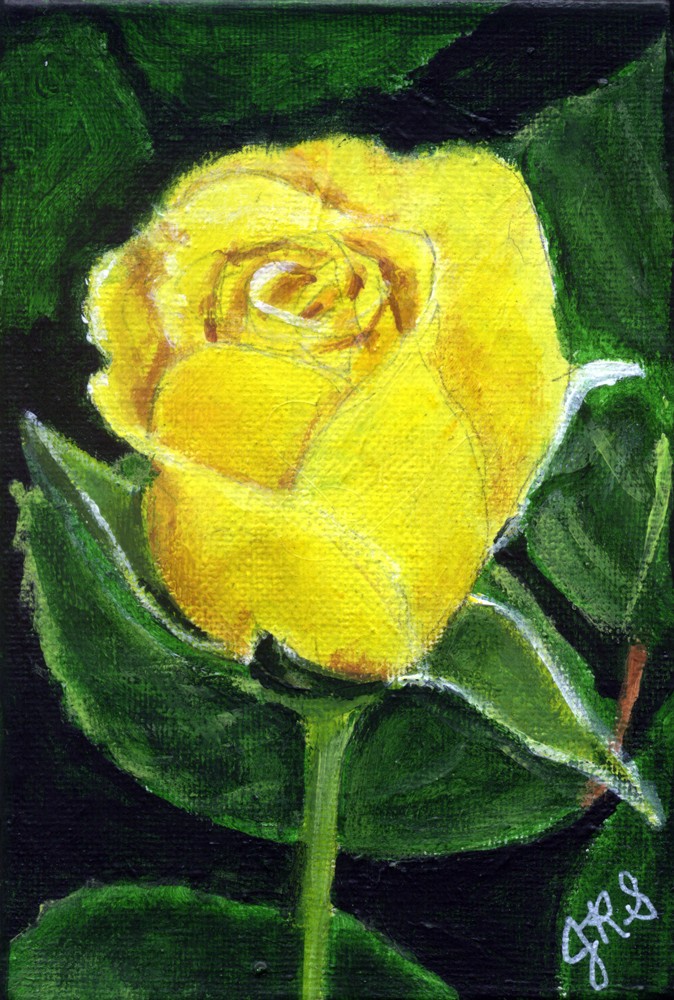 OOAK 2025 Painting YELLOW ROSE 4″x6″ Acrylic on Gallery Stretched Canvas Signed