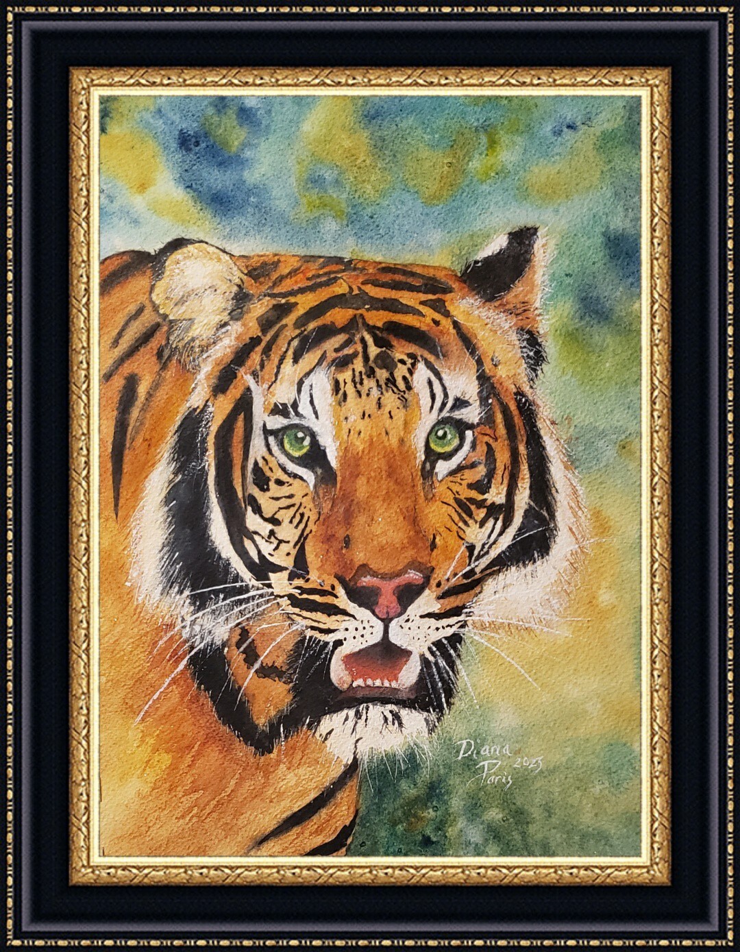 Watercolor paintings originals, «Tiger Power»