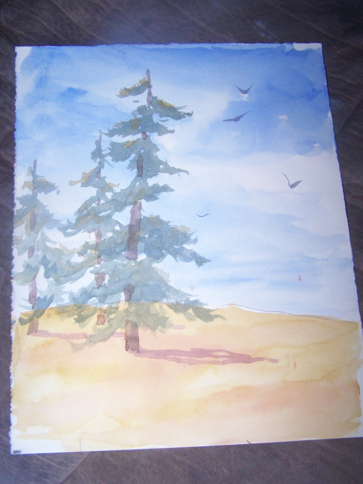 Original Watercolor By Peg Humphreys, Summer Days 14″ x 11″