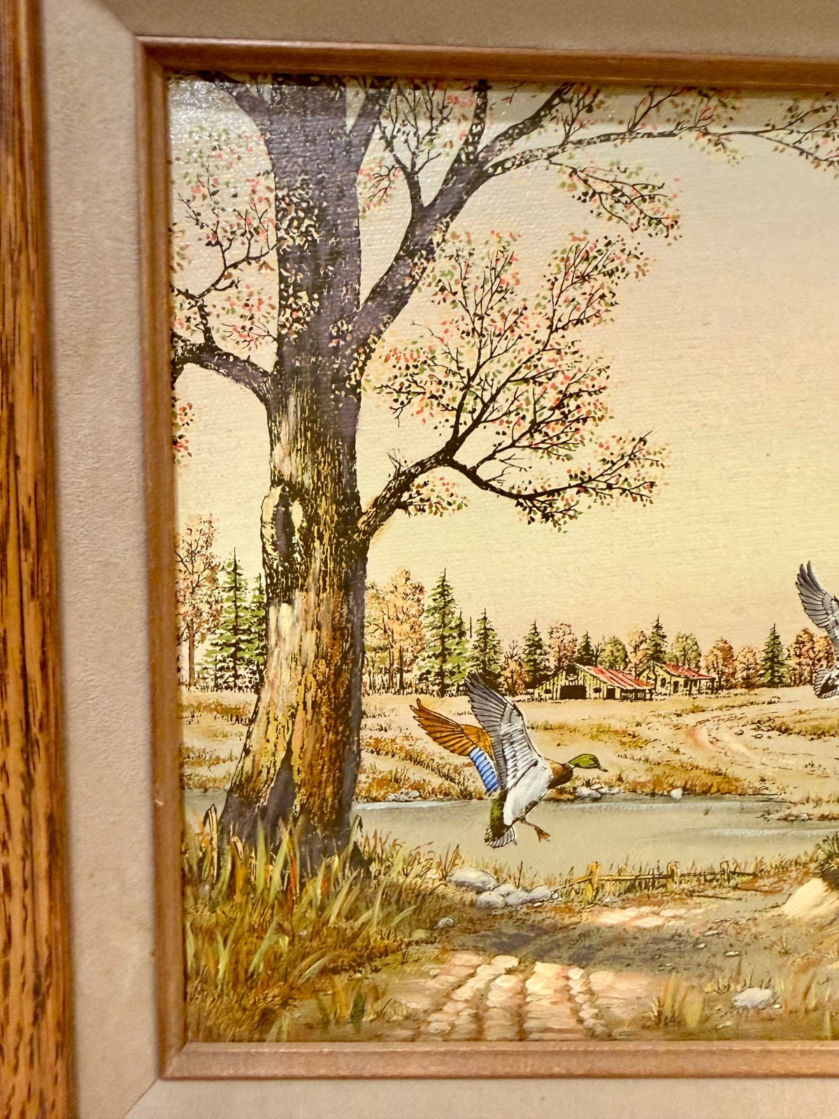 Original Oil Painting by C. Carson Americana Wildlife Series Ducks and Birds COA
