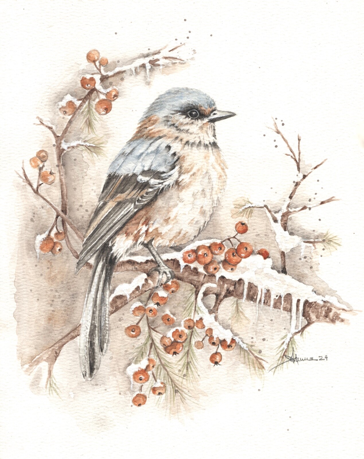 Bird Art Bluebird and Winter Berries in Snow Watercolor, Signed Matted 8 X 10