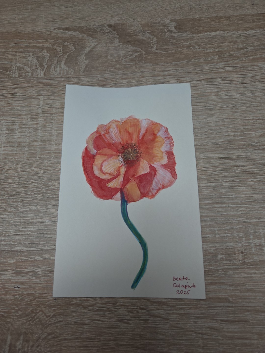 Original Watercolor Painting SRA – Framed Poppy Floral Art – Unique Gift