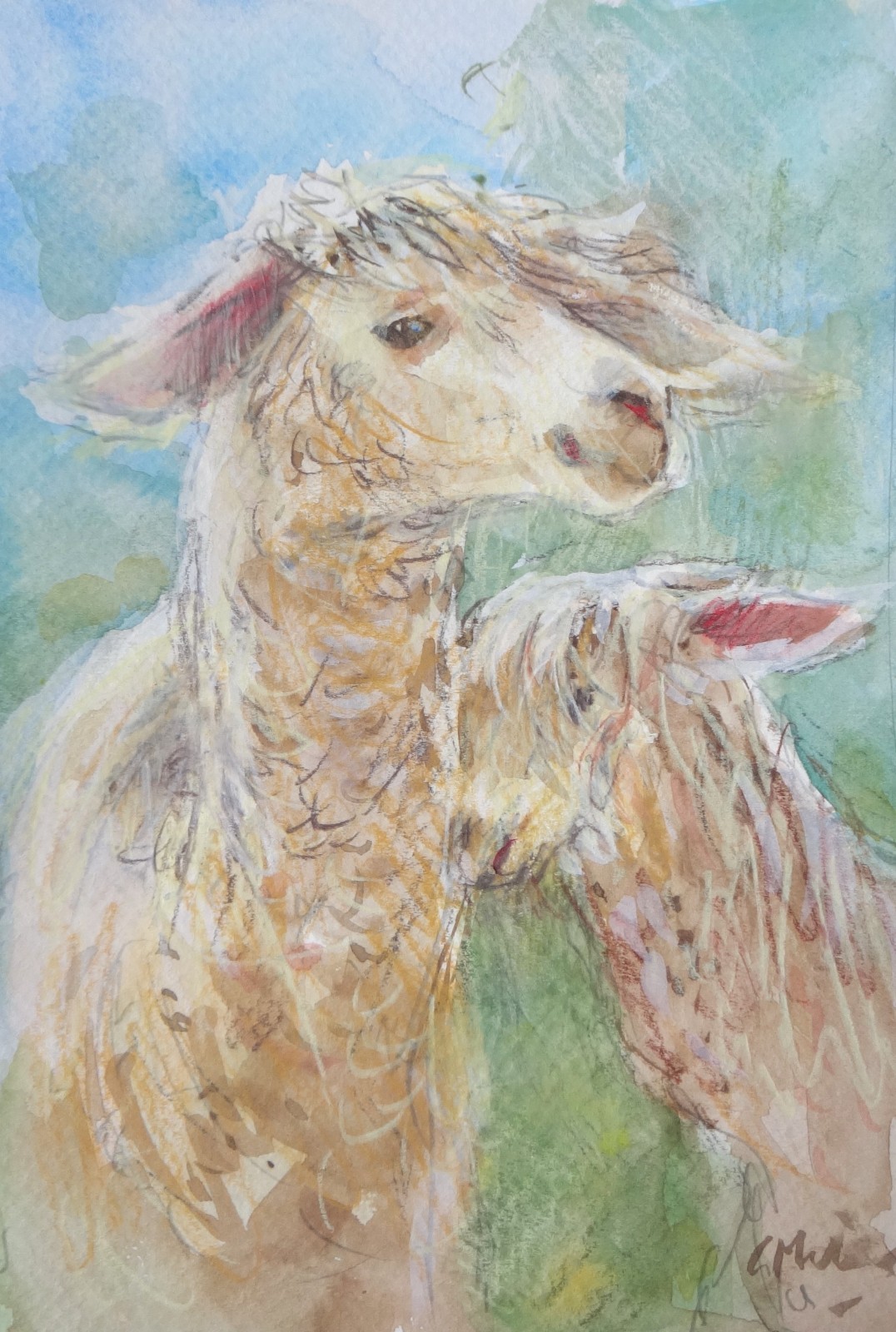 GERRY MILLER. Watercolour – «Alpacas». No frame. 15x22cm.