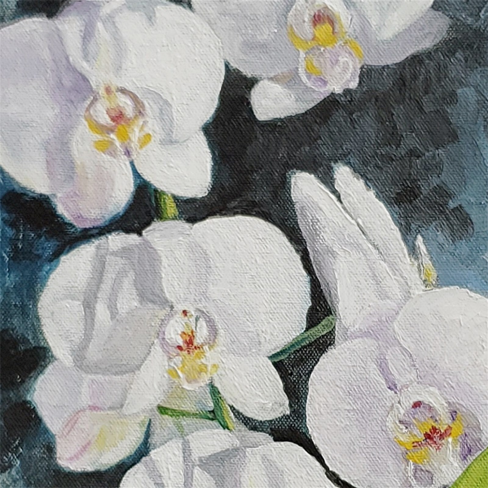 YARY DLUHOS Orchid Flowers Still Life Floral Garden Original Art Oil Painting