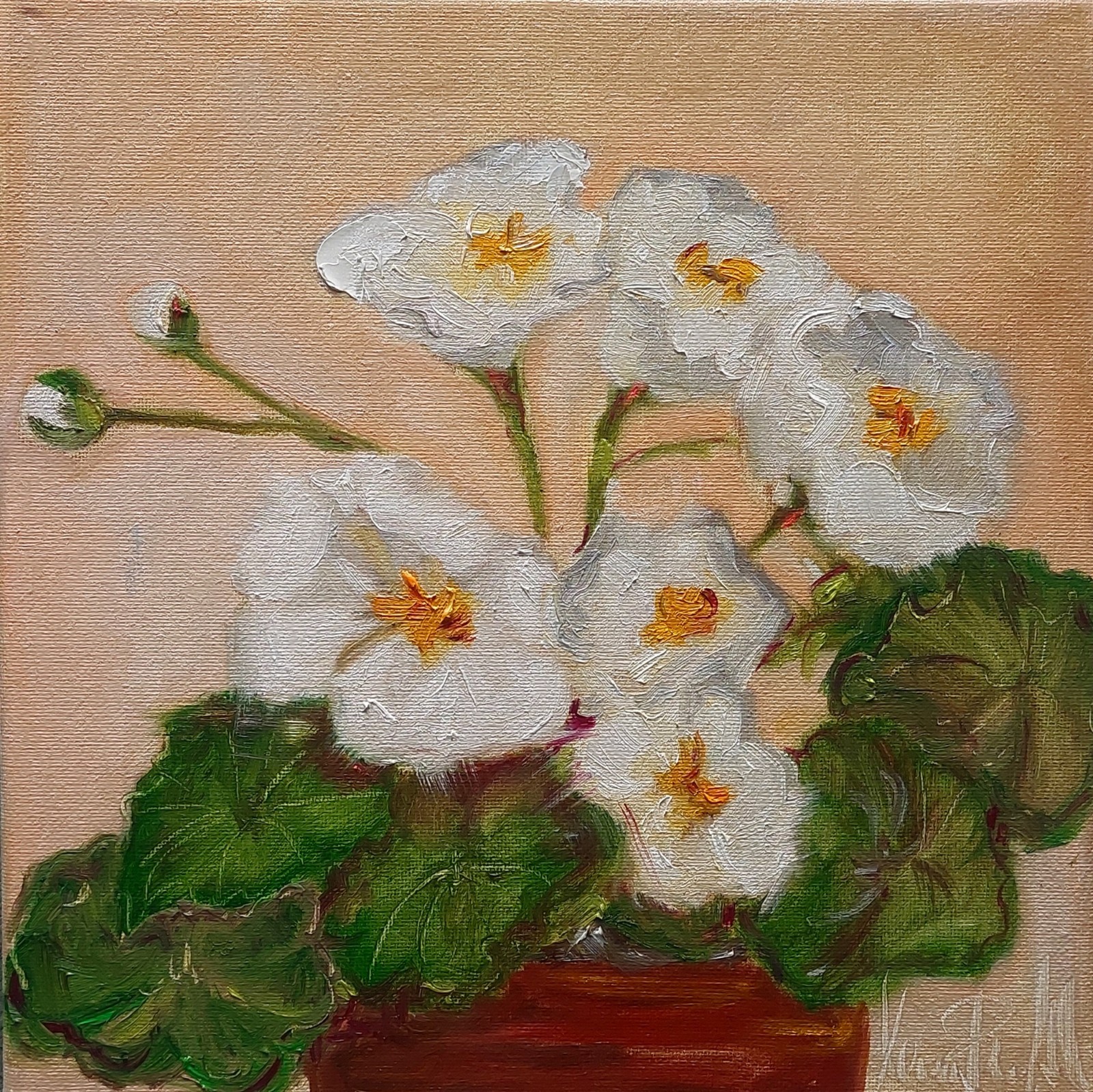 Oil still life painting on canvas size 10×10 inches