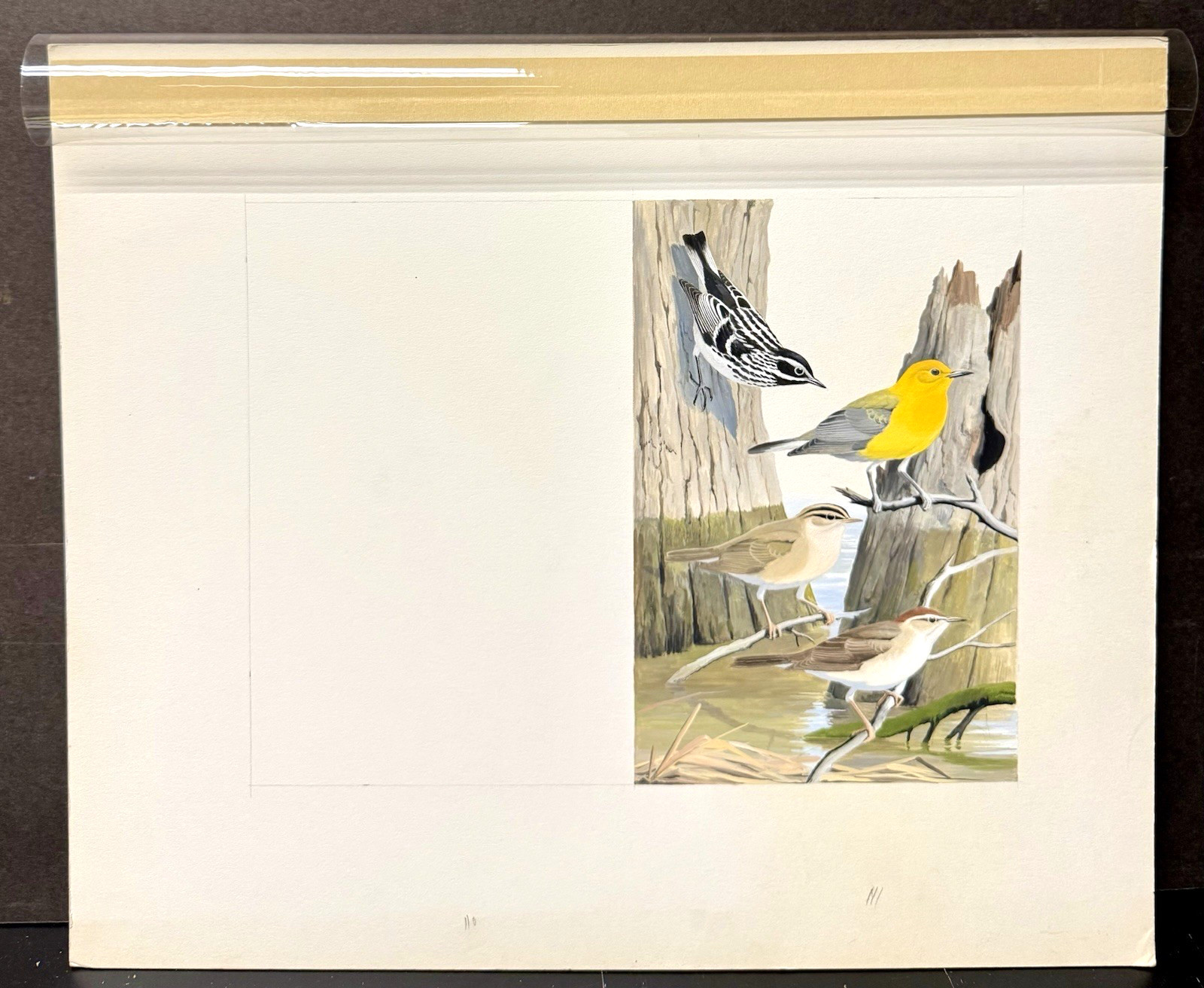 Arthur Singer Original Bird Art Painting – Warblers , c1969, Unsigned, Unframed