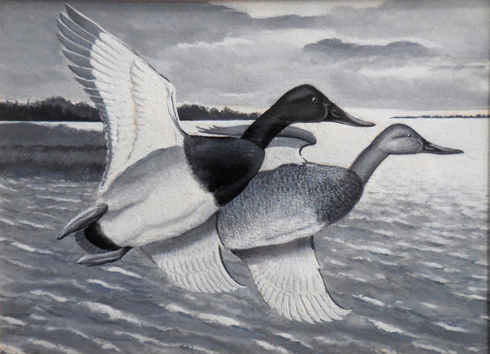 Original Painting Tempera American Artist Gordon Dale Pair of Canvasback Ducks